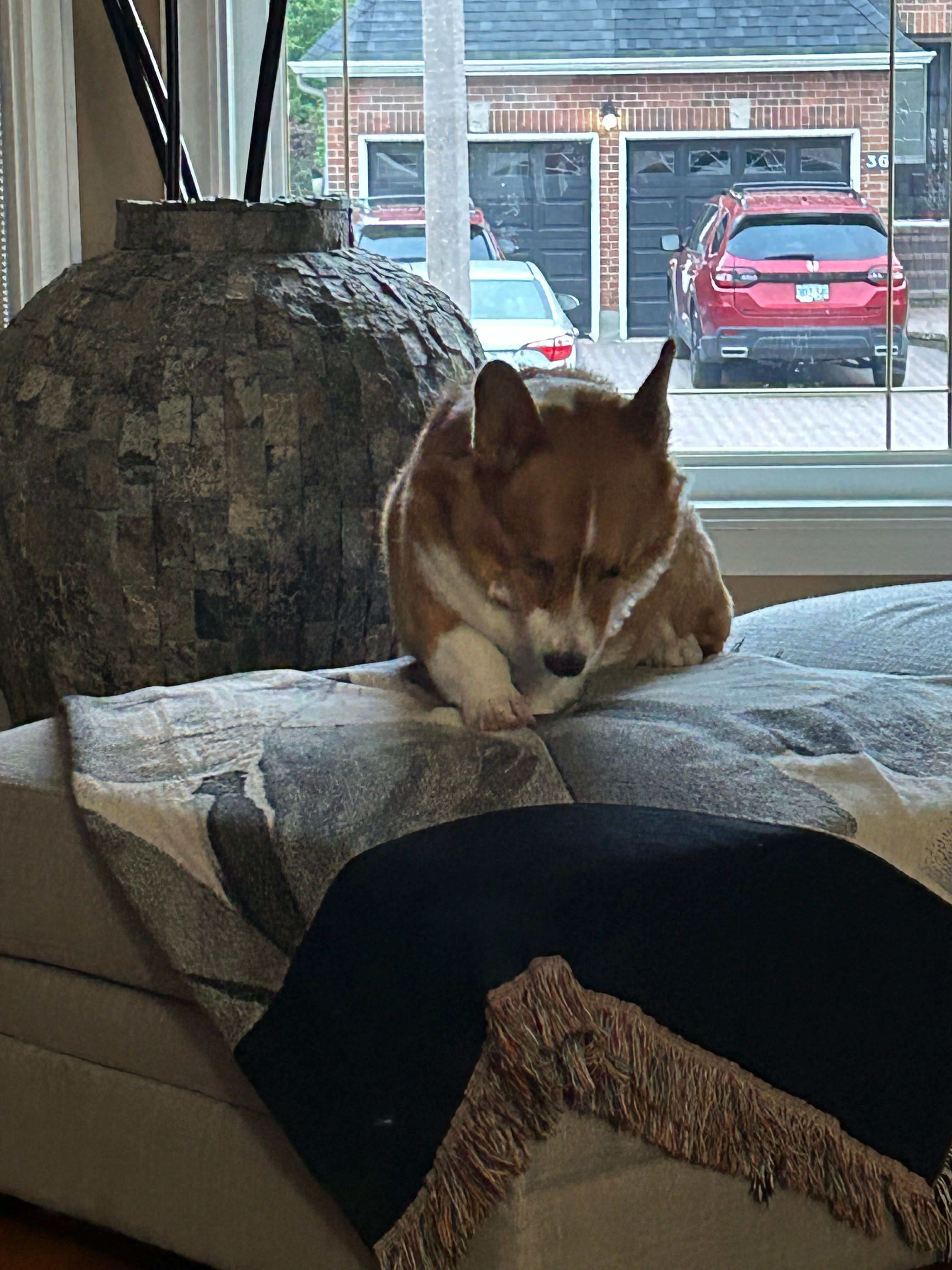 image-14