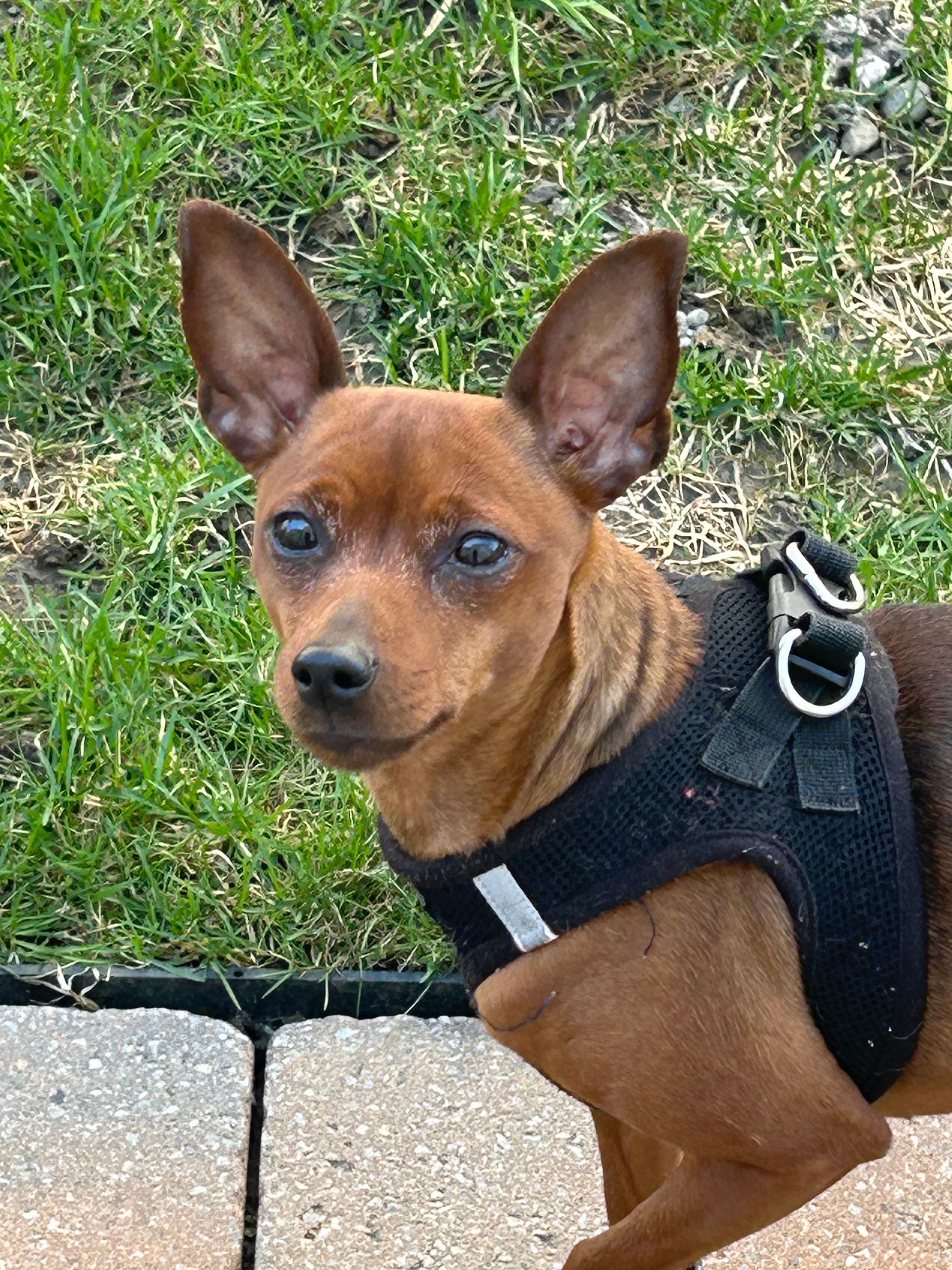 image-20