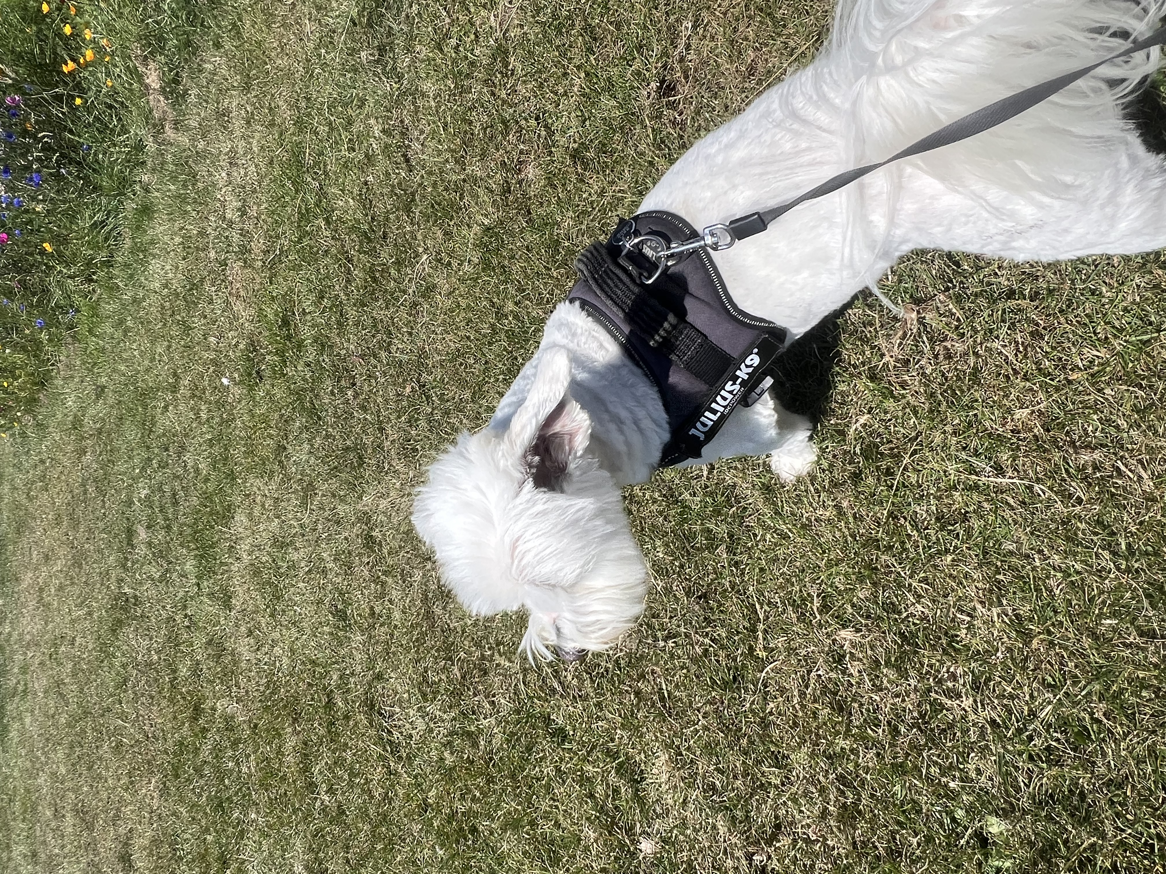 image-11