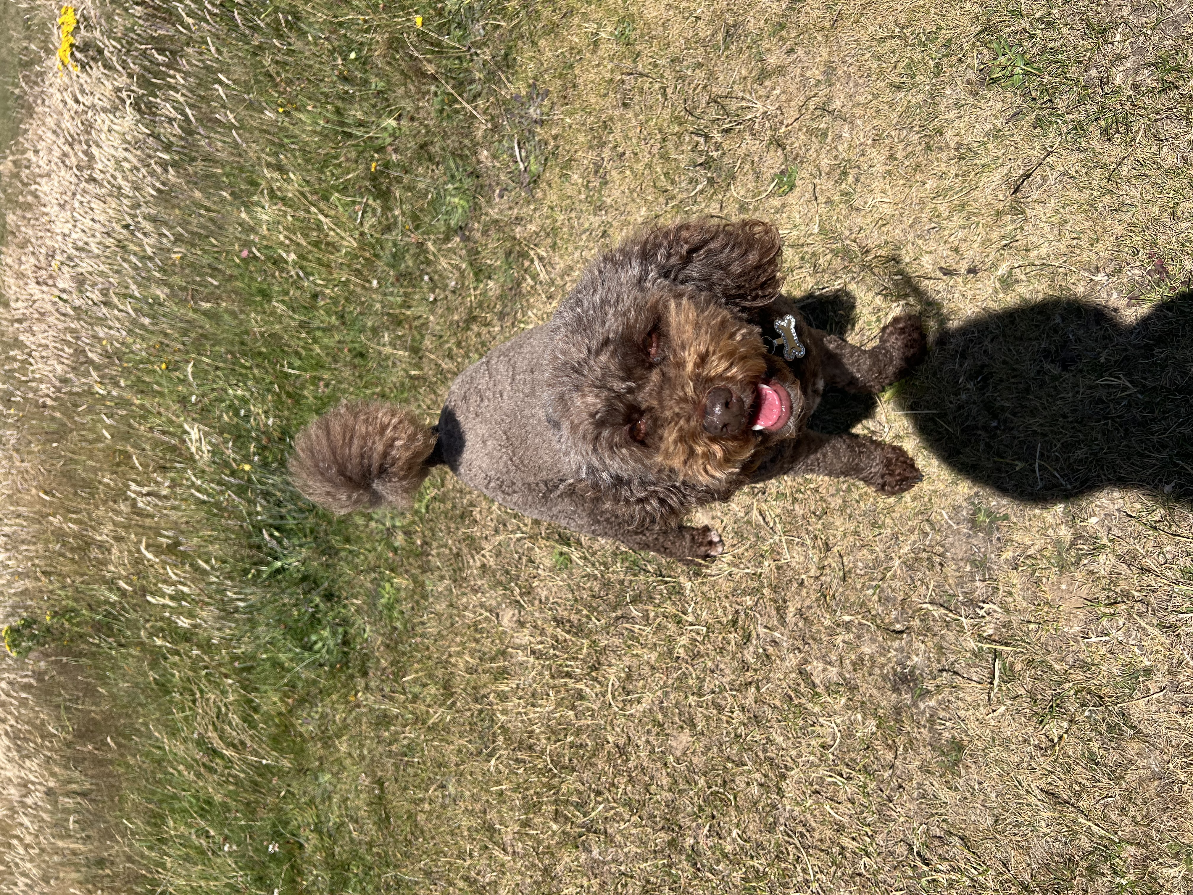 image-4