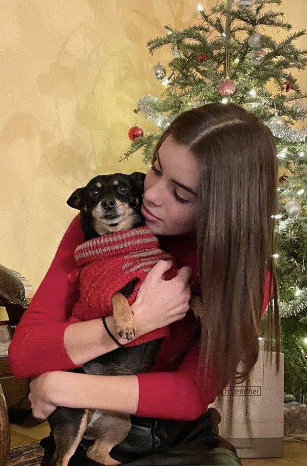 image-6