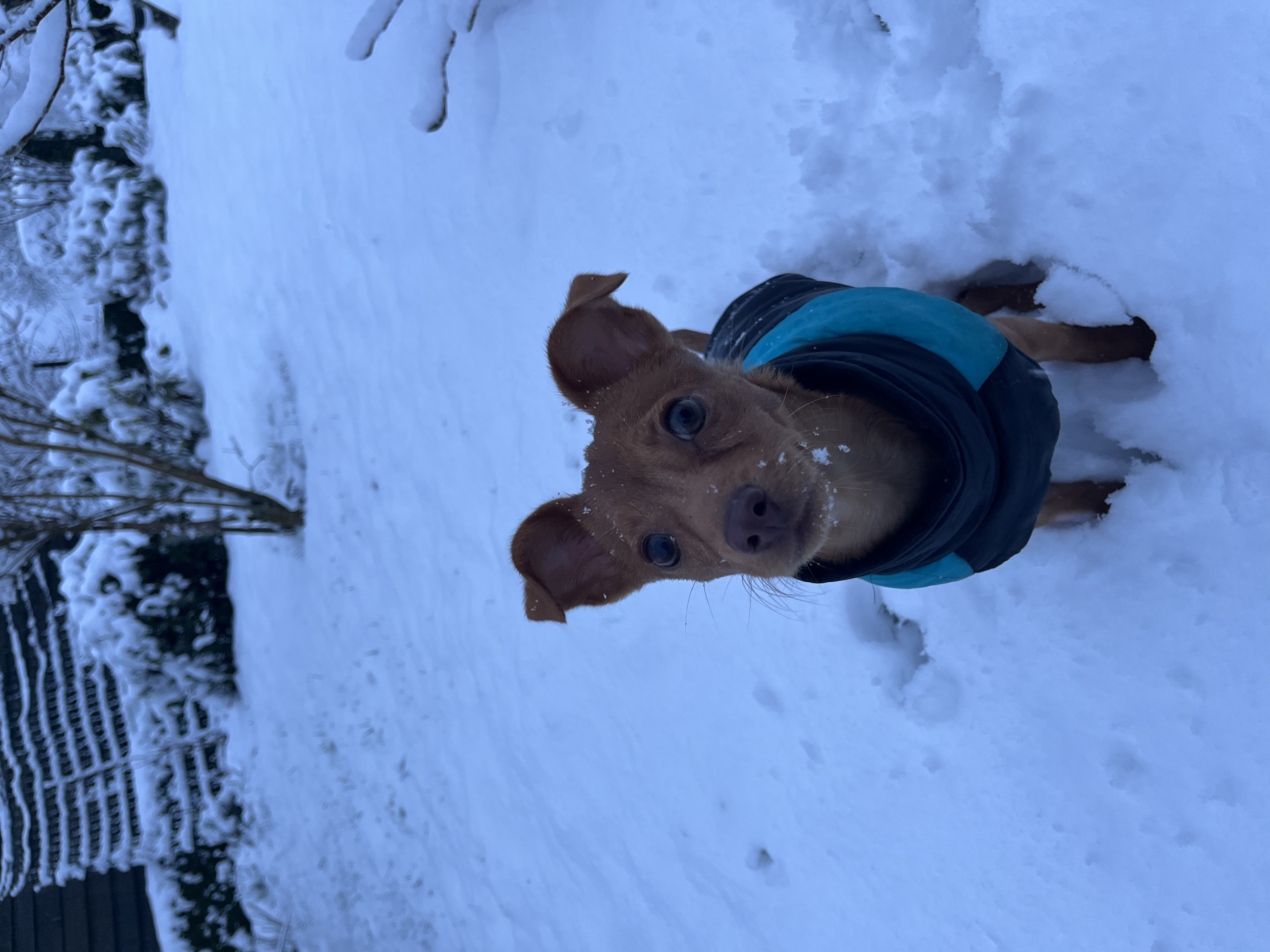 image-8