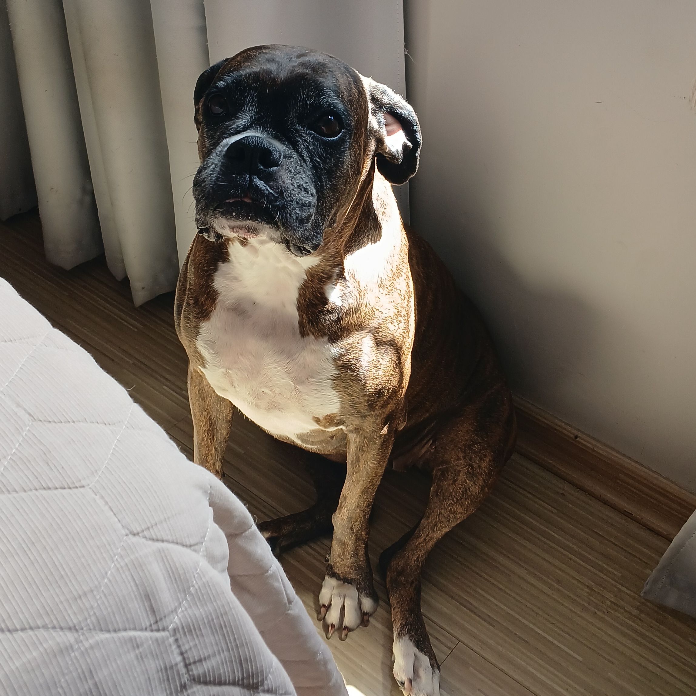 Fiona