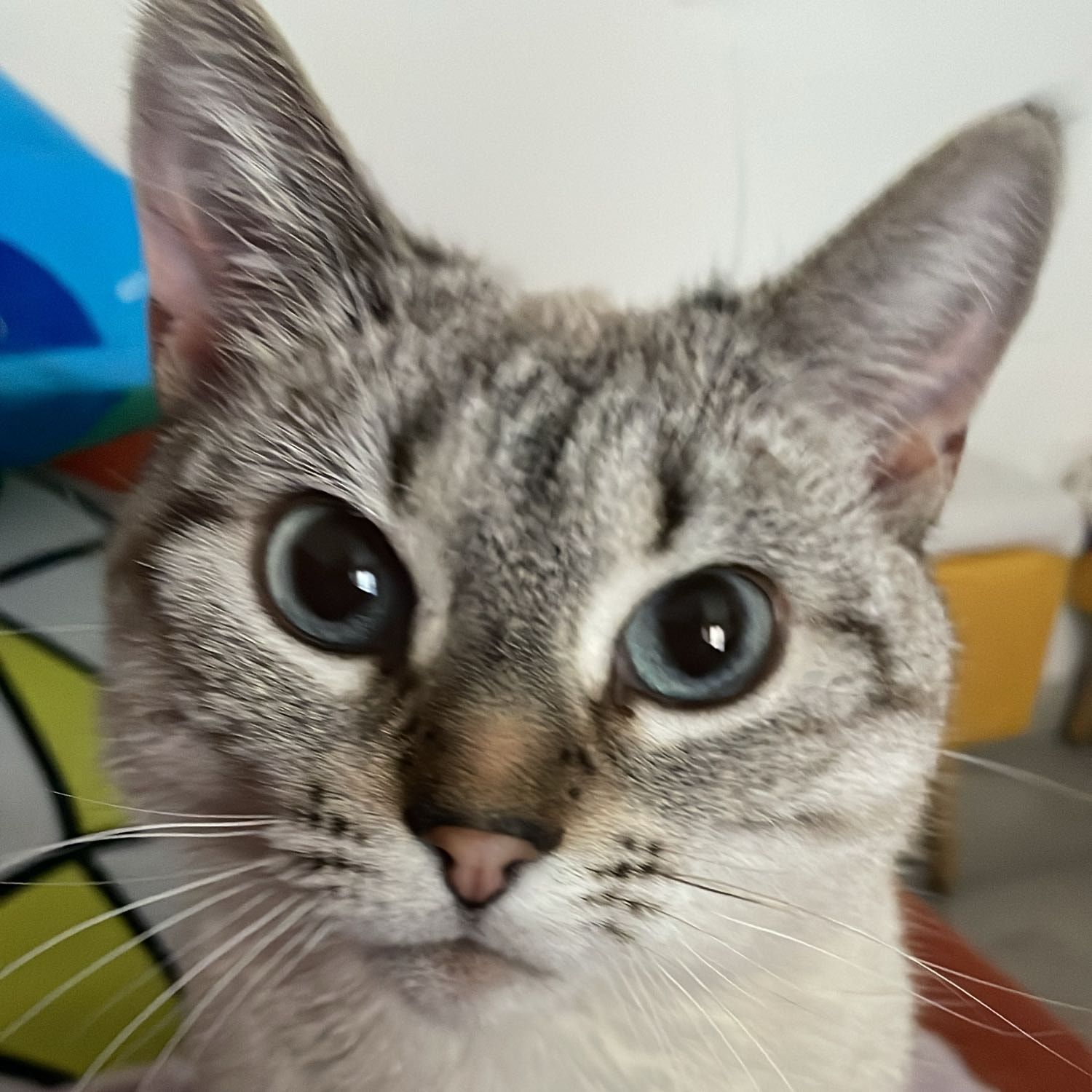 Manny