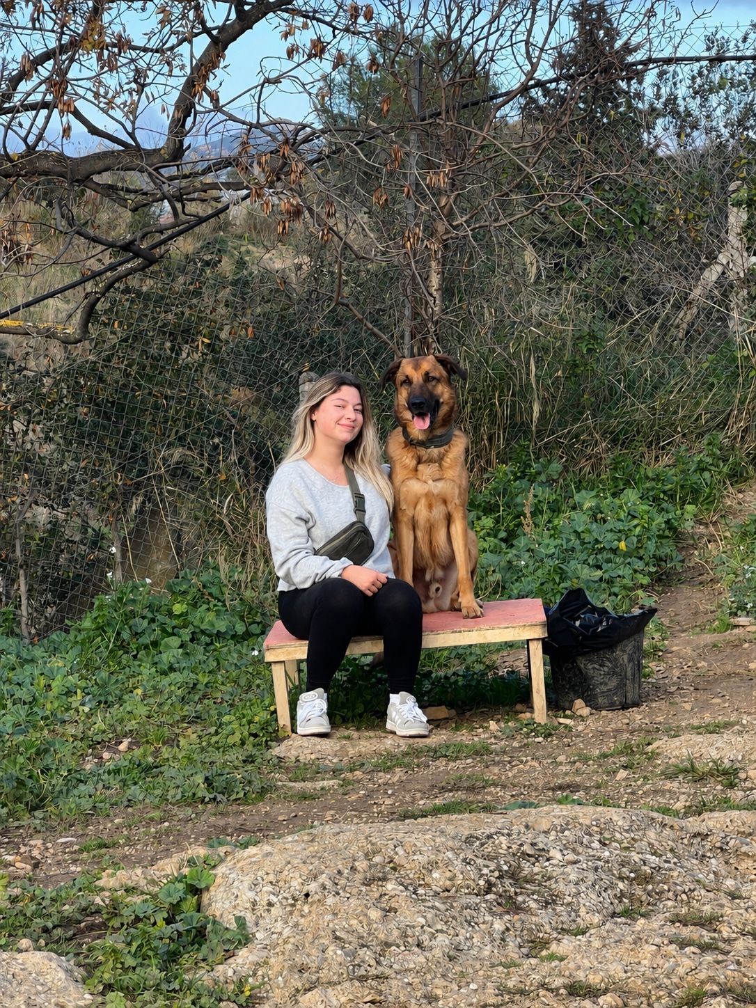 image-5