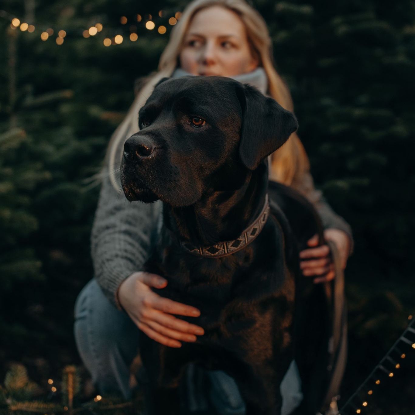 BO