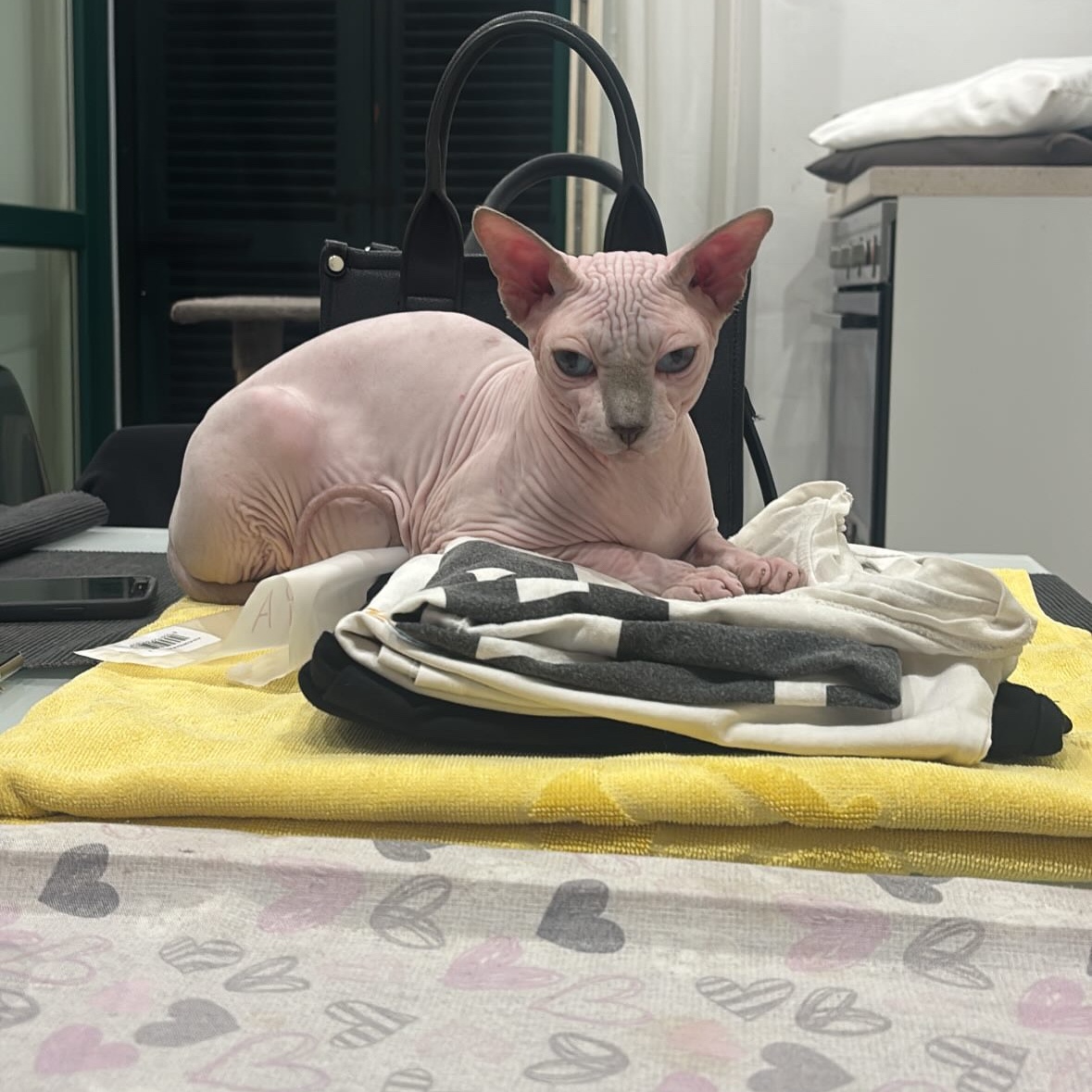 Beerus