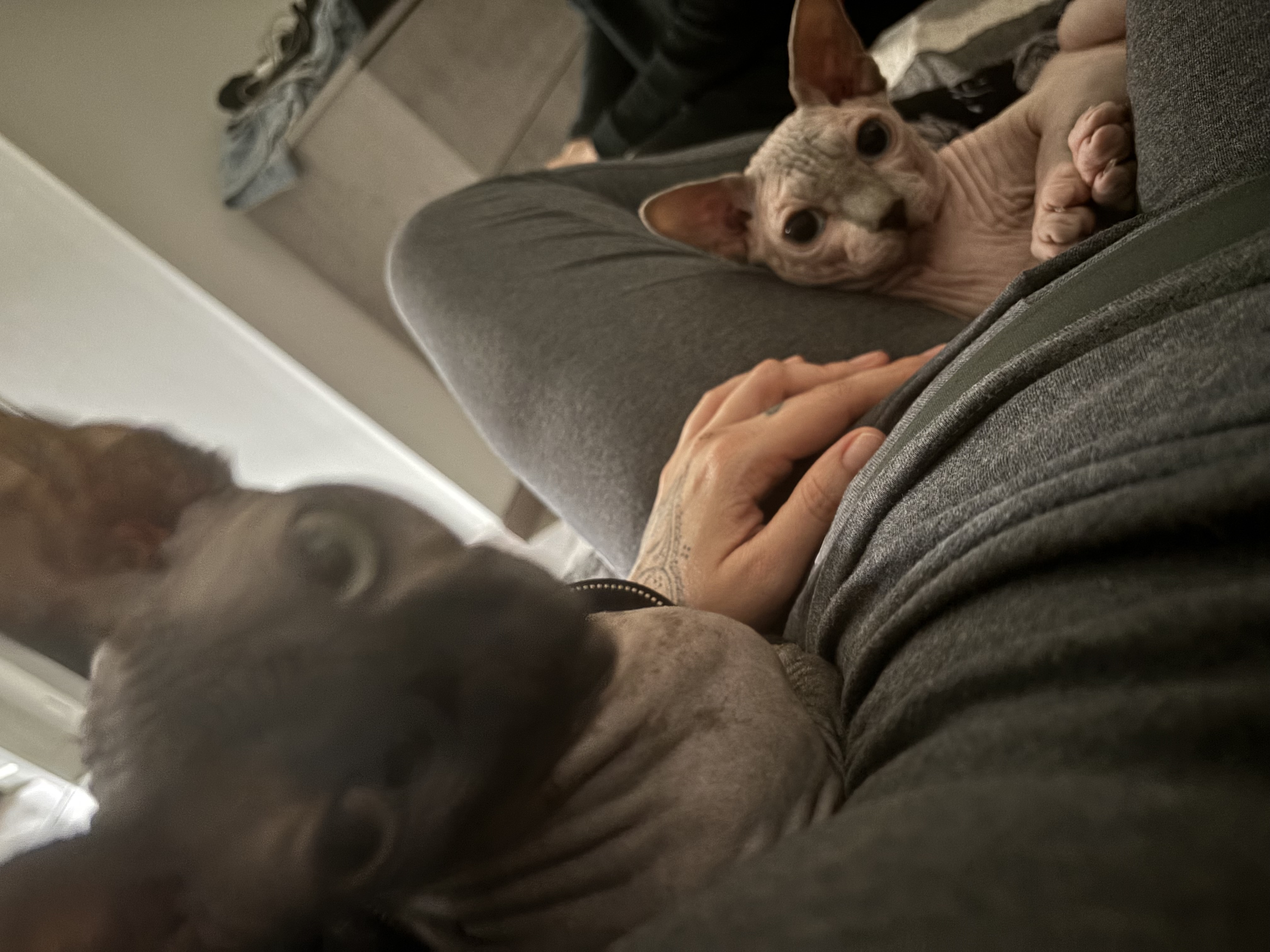 image-9