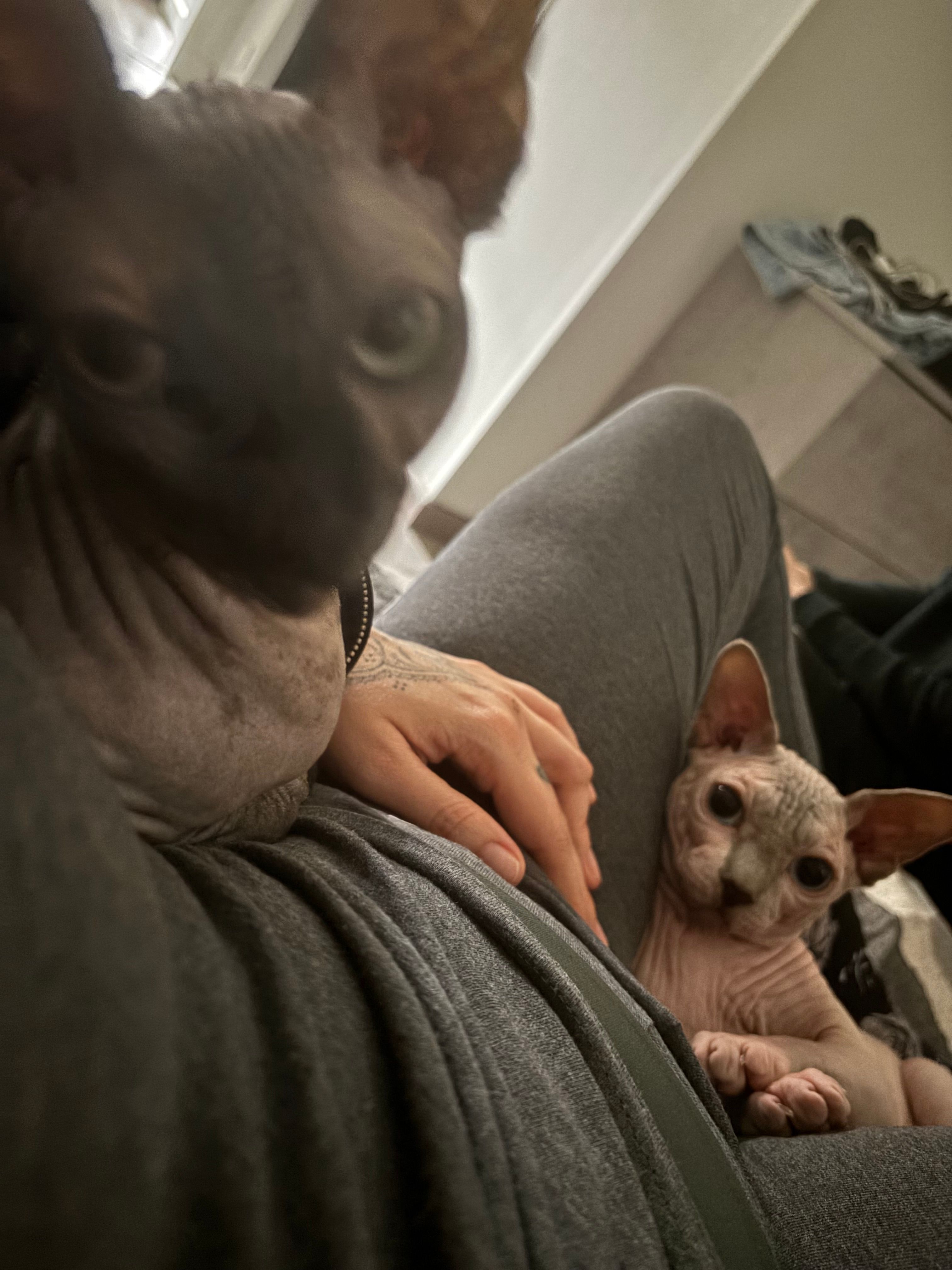 image-9