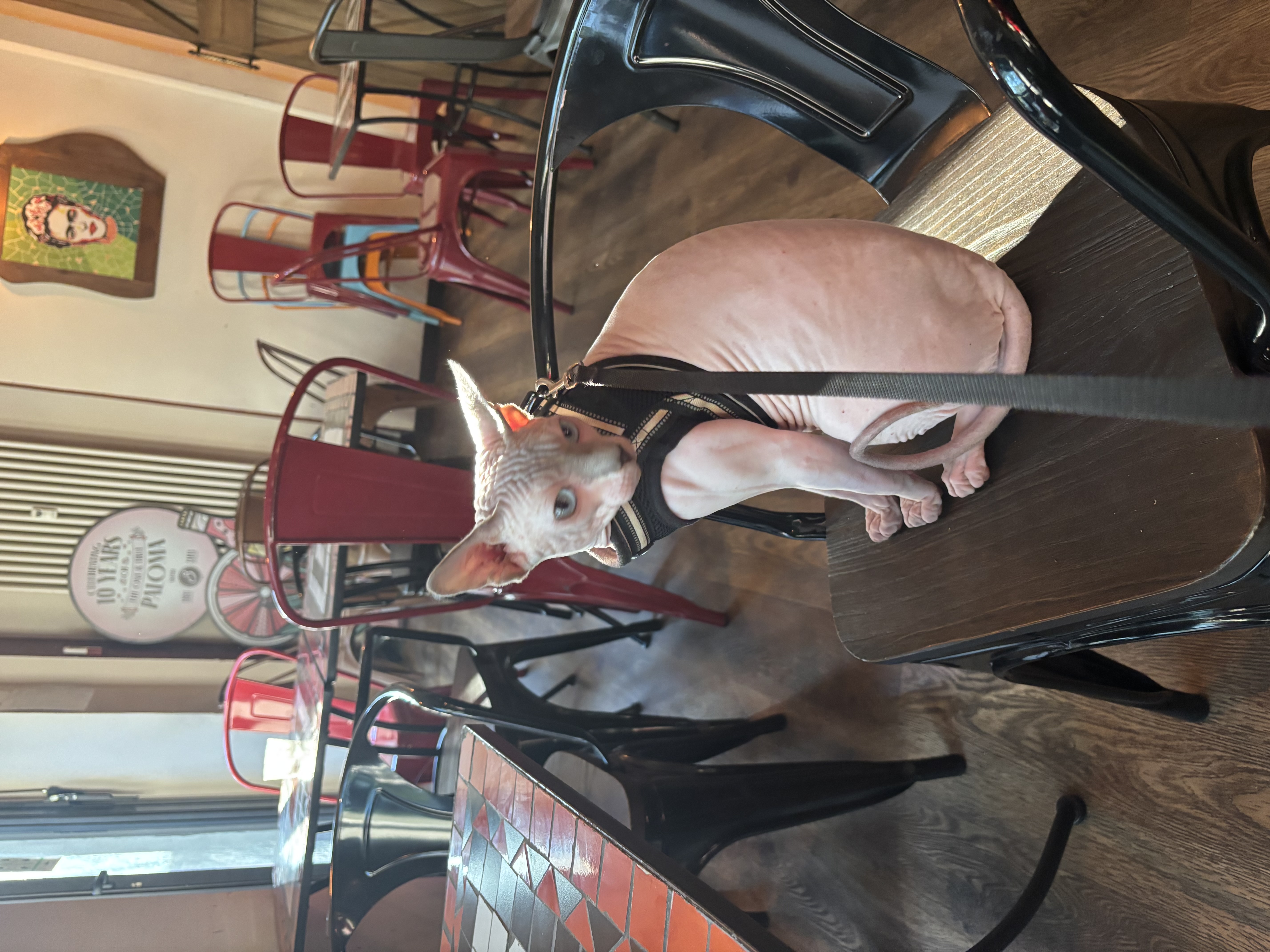 image-10