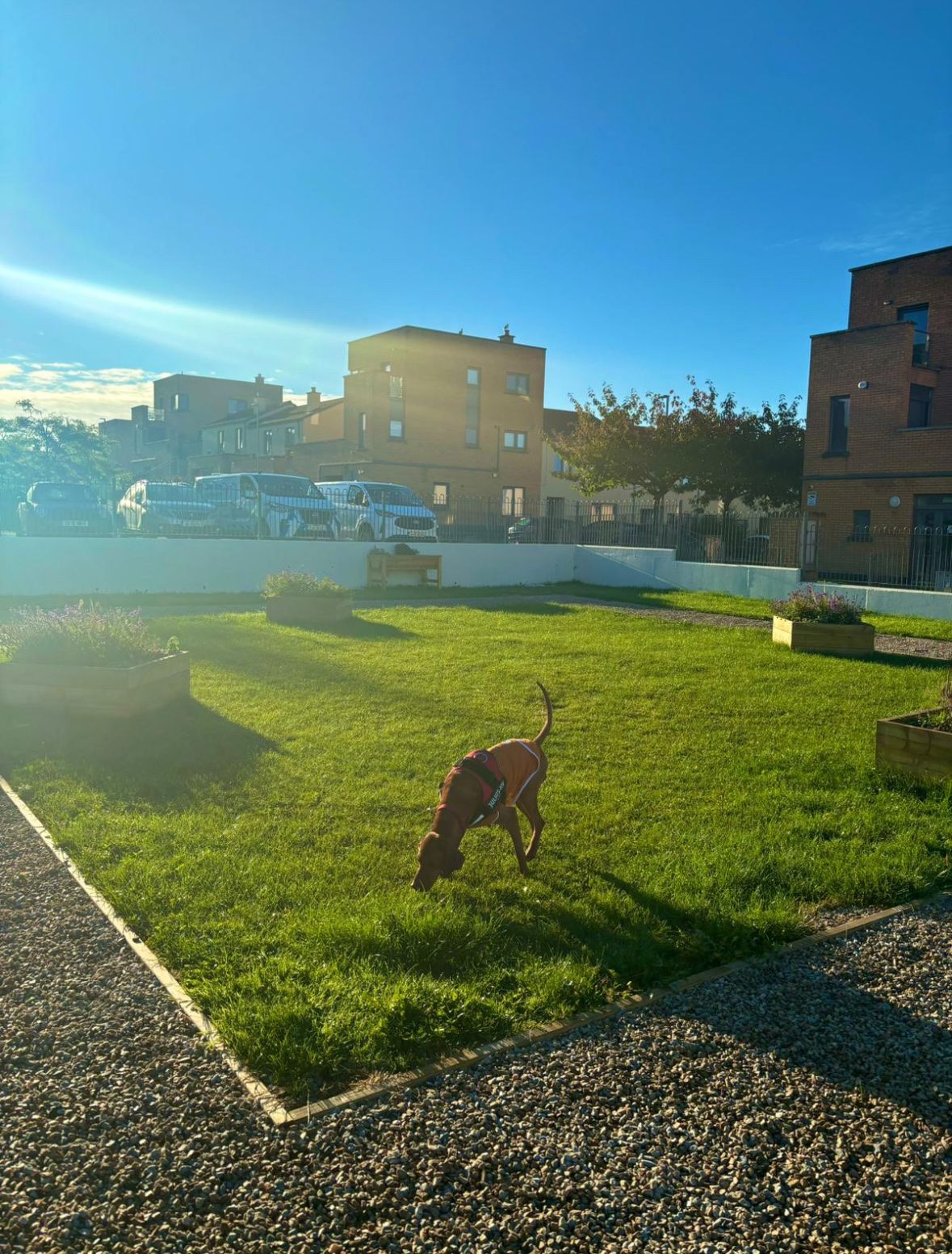 image-8