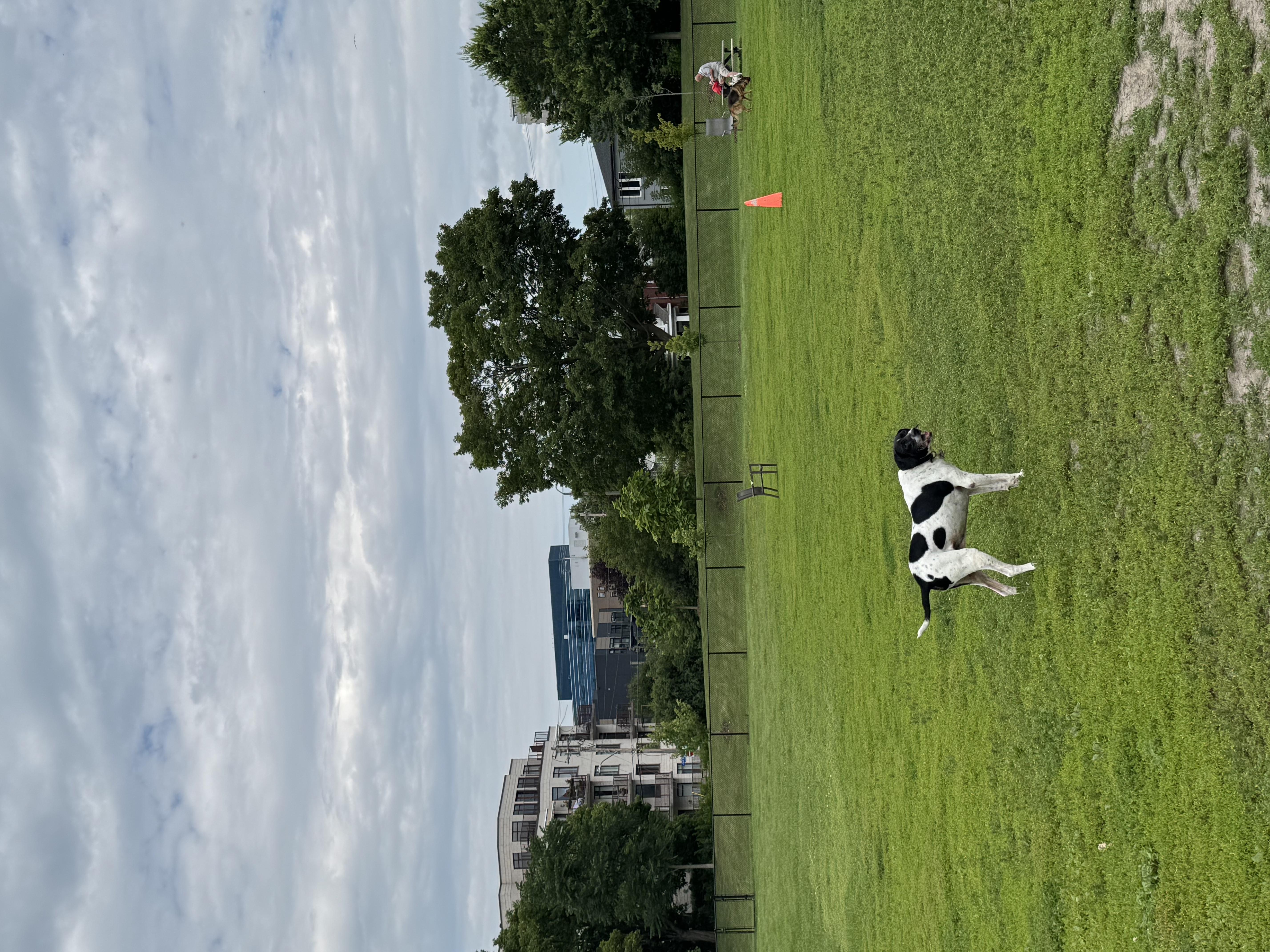image-15