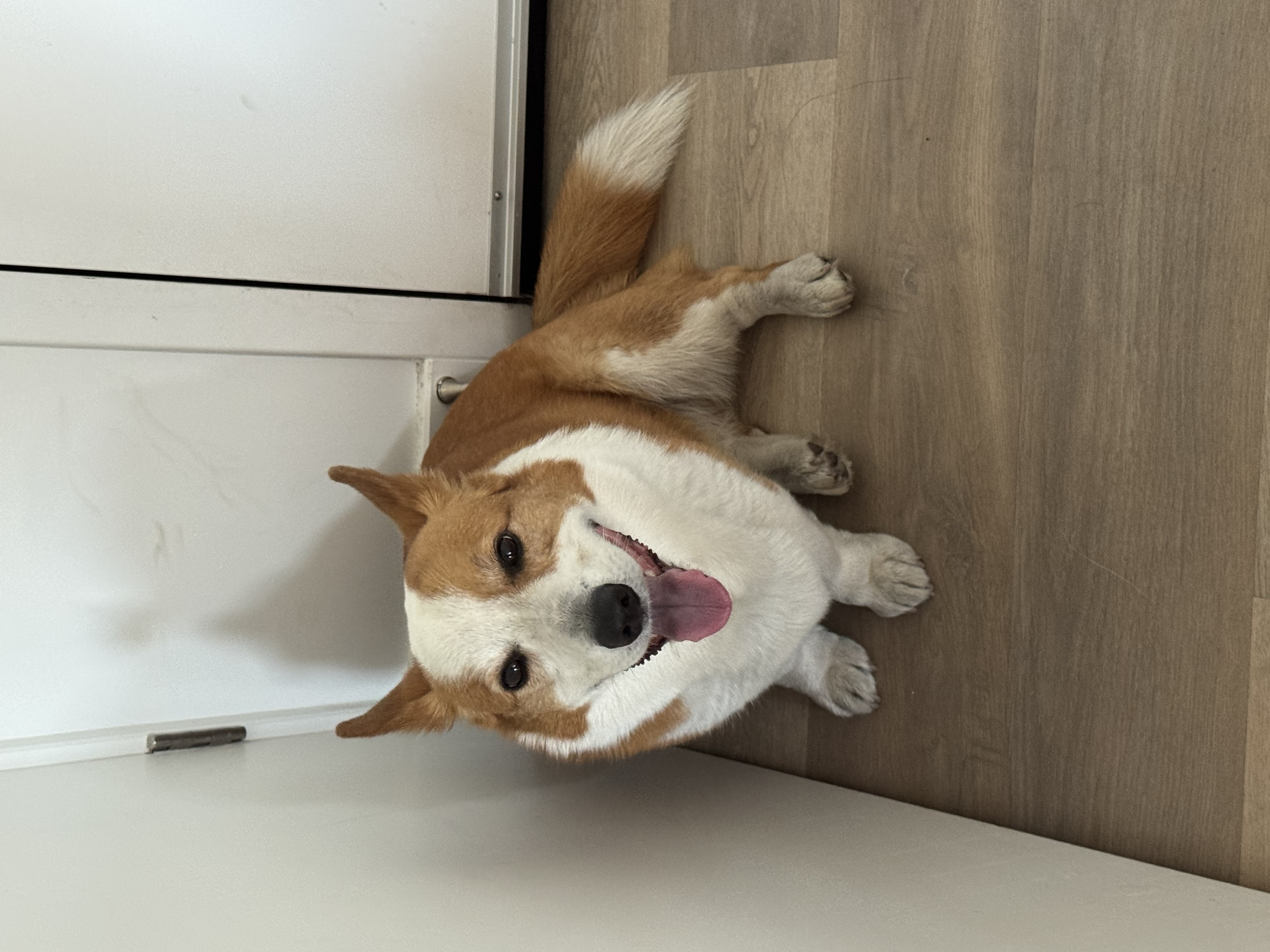 image-13