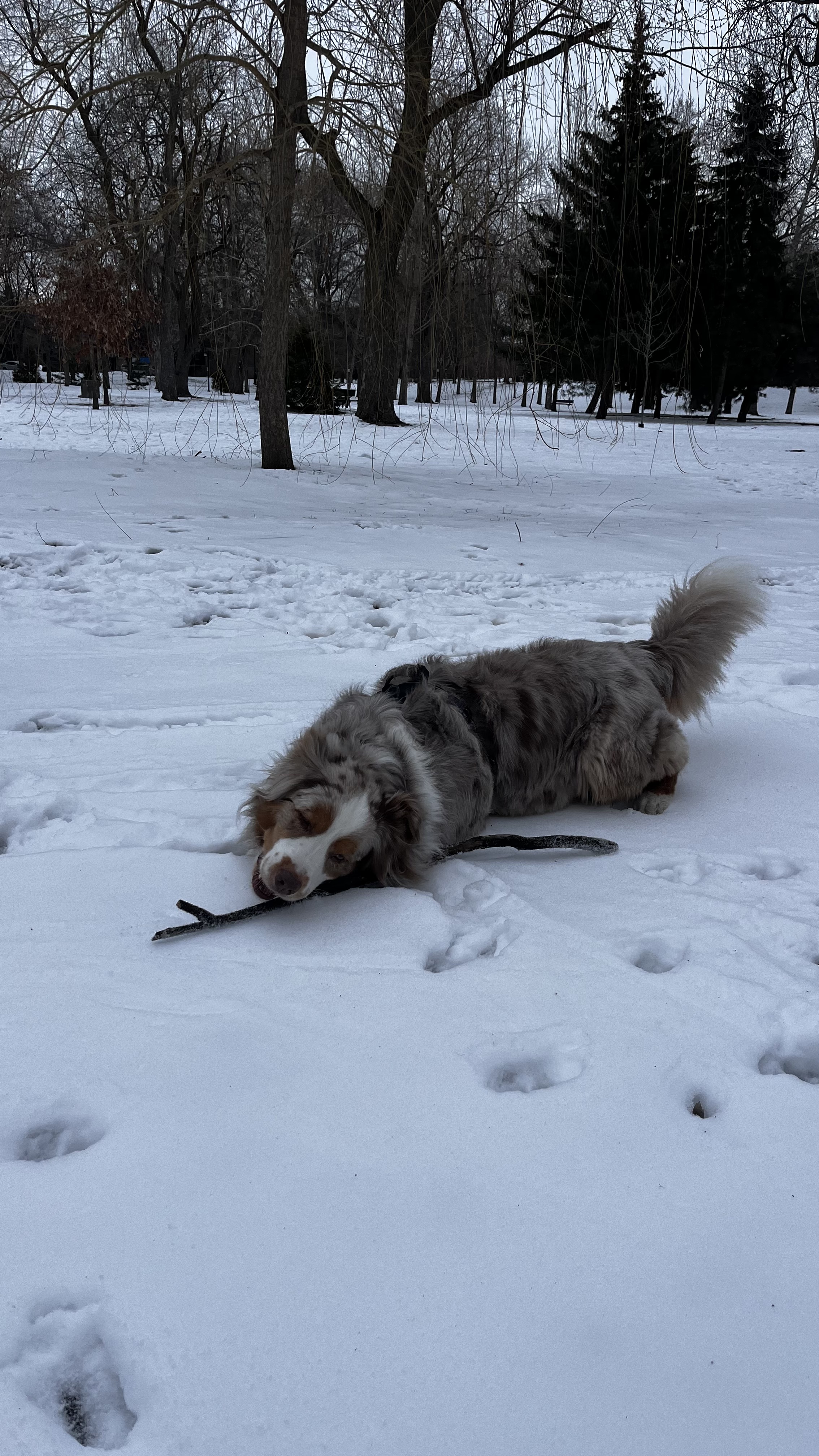 image-27