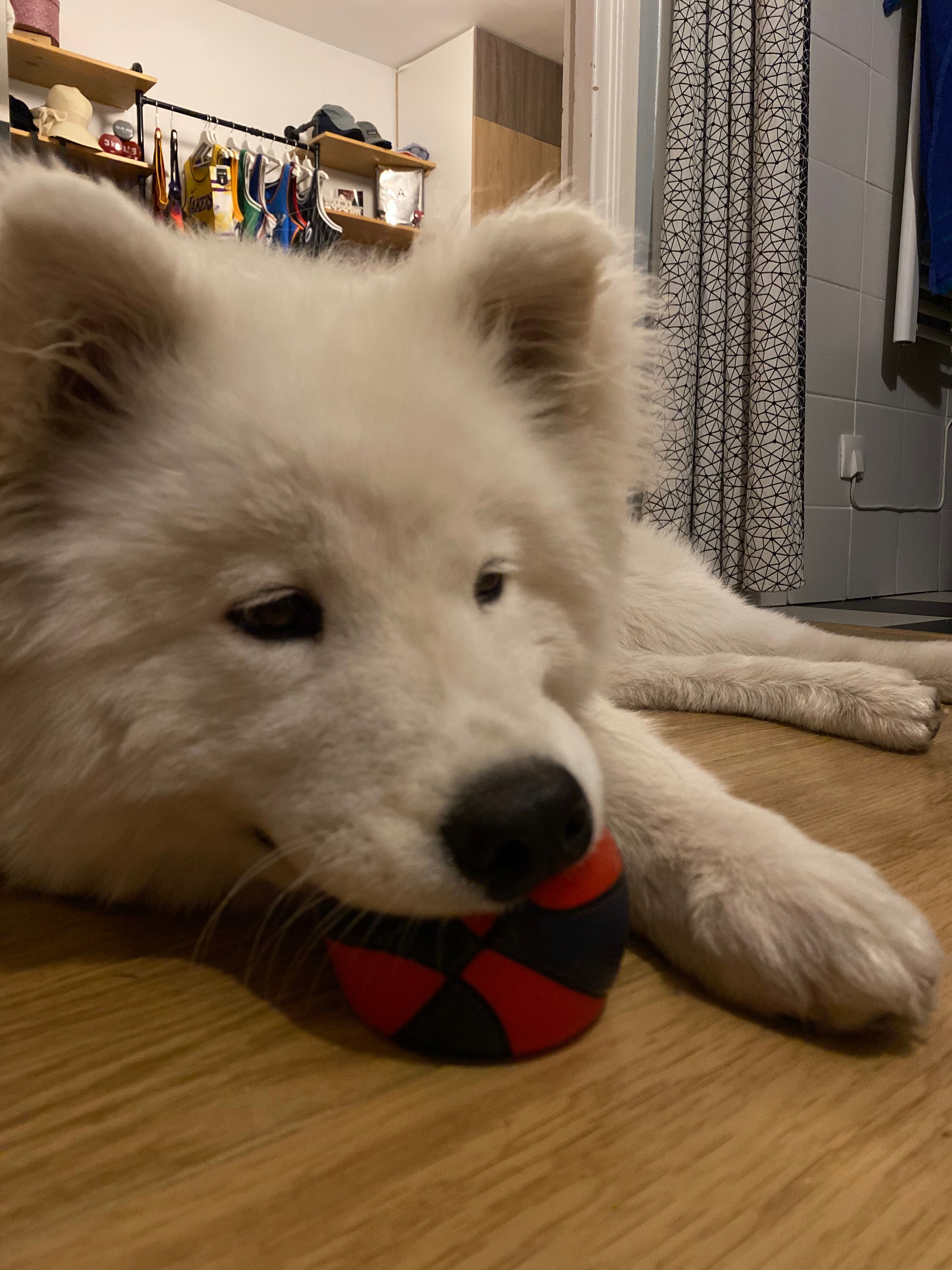 image-43