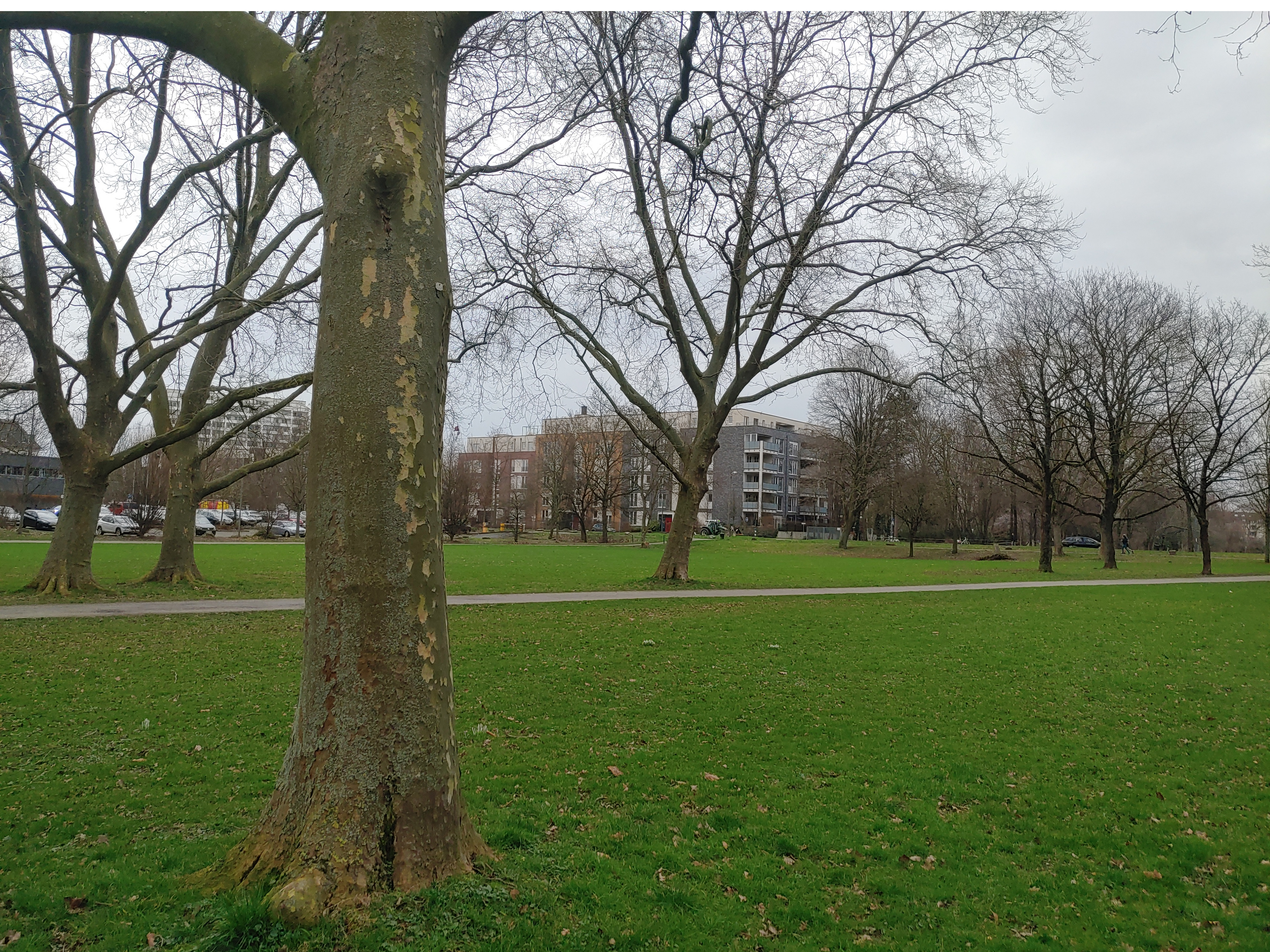image-21