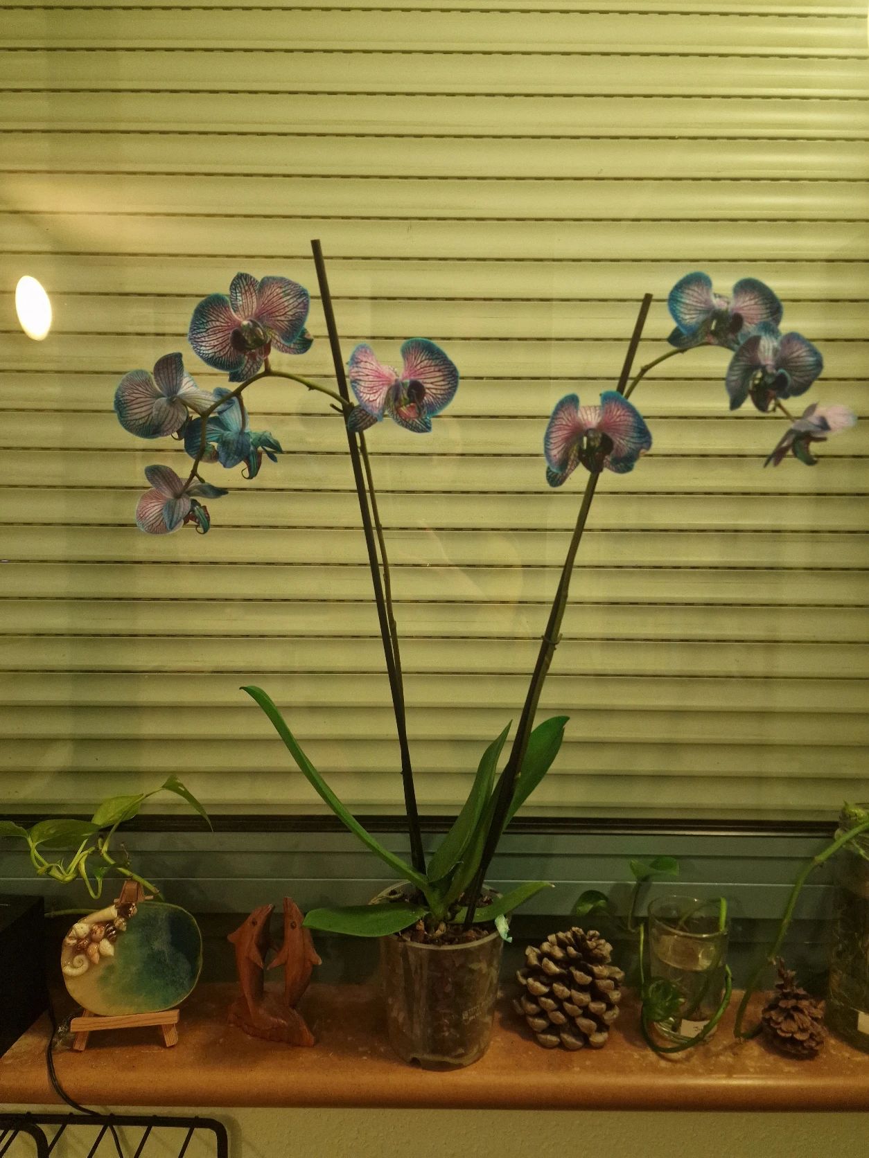 image-15