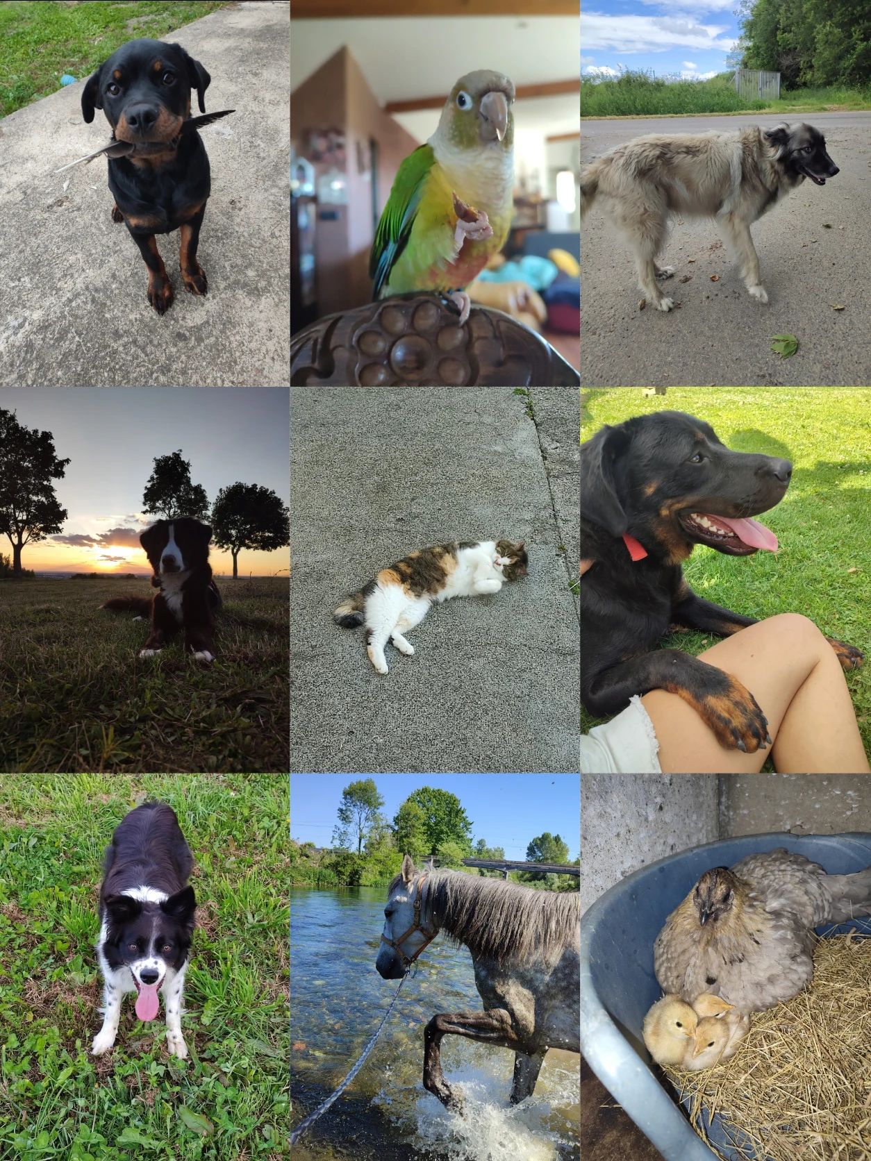image-11