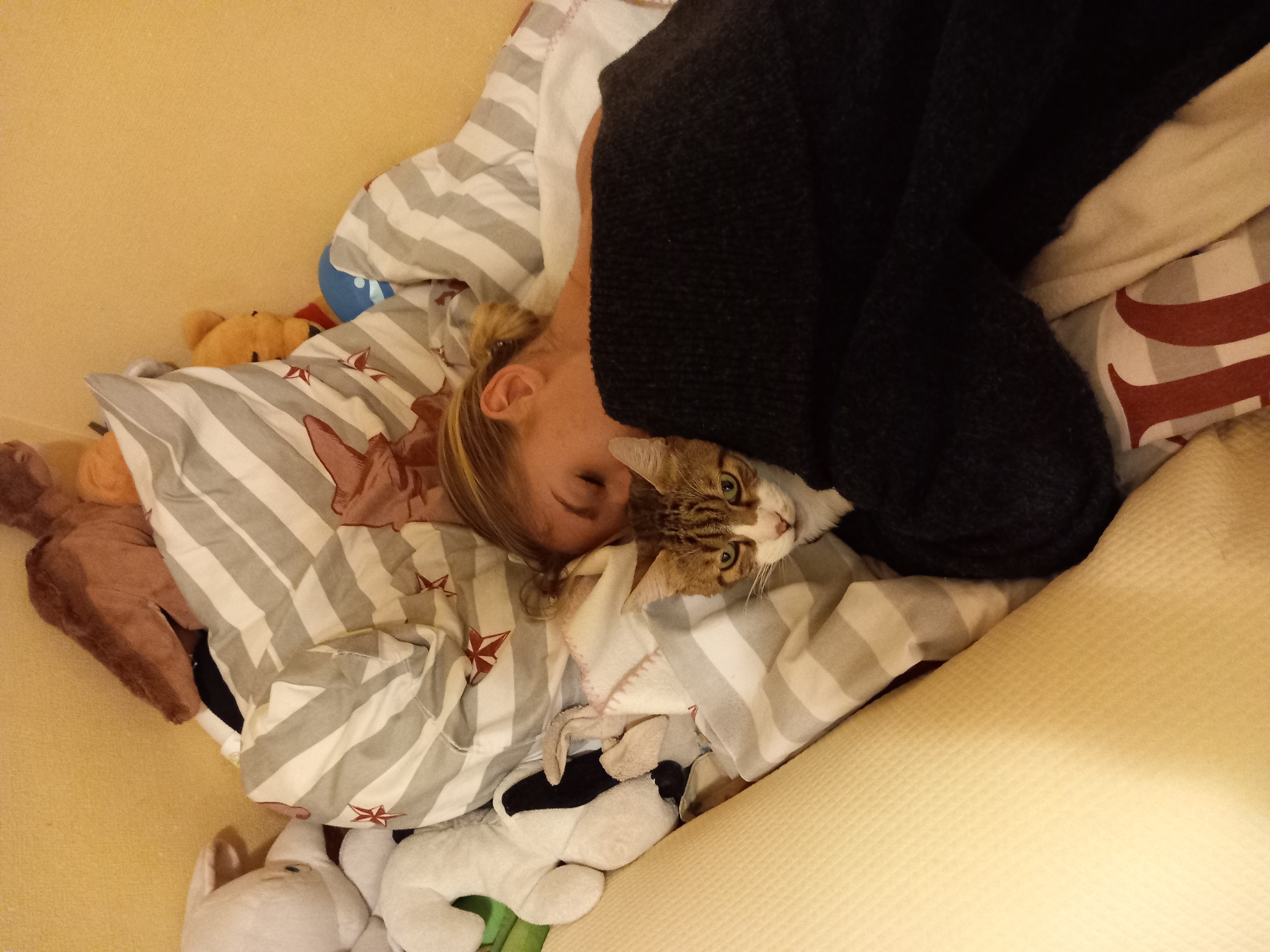 image-8