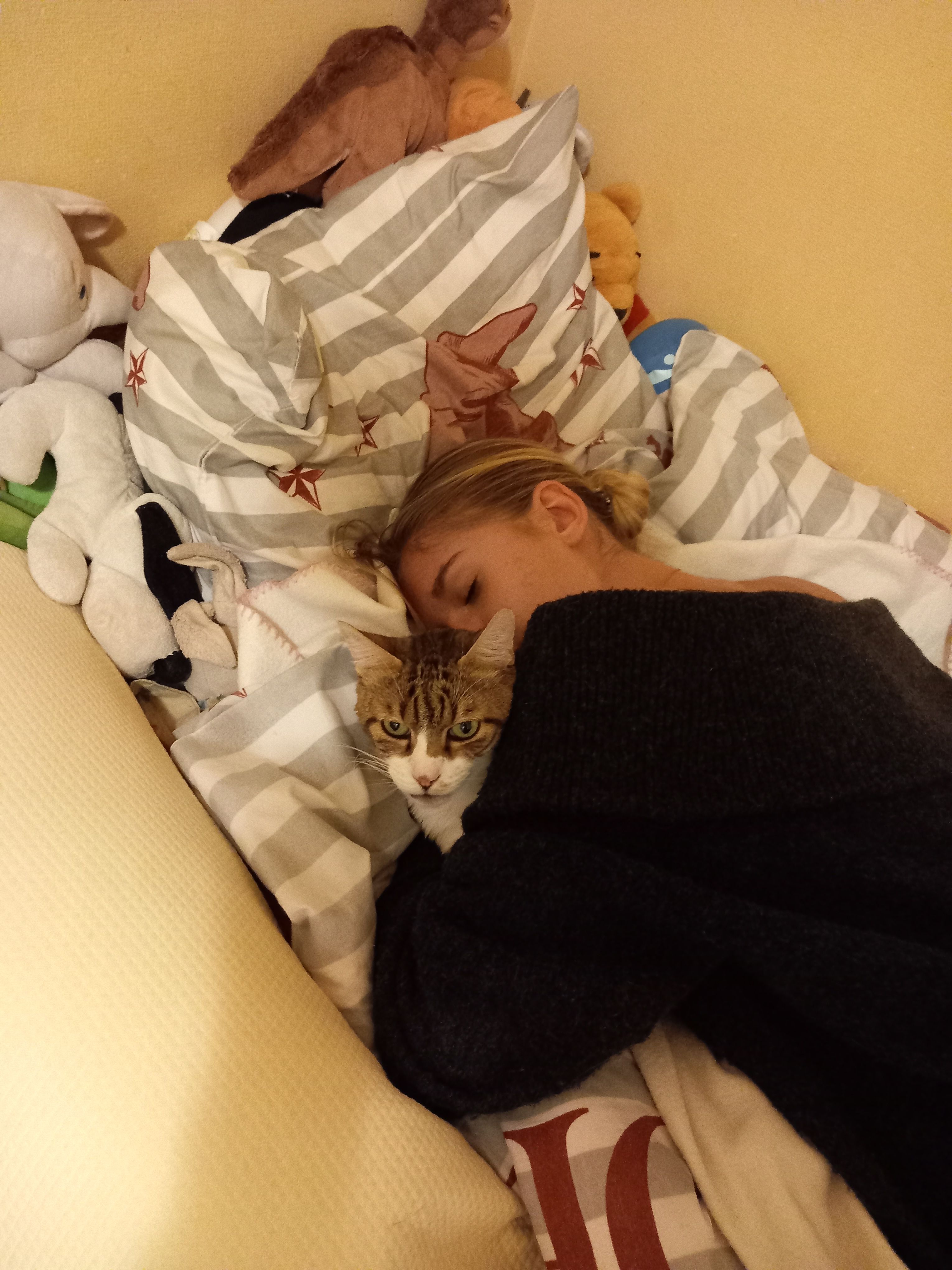 image-8