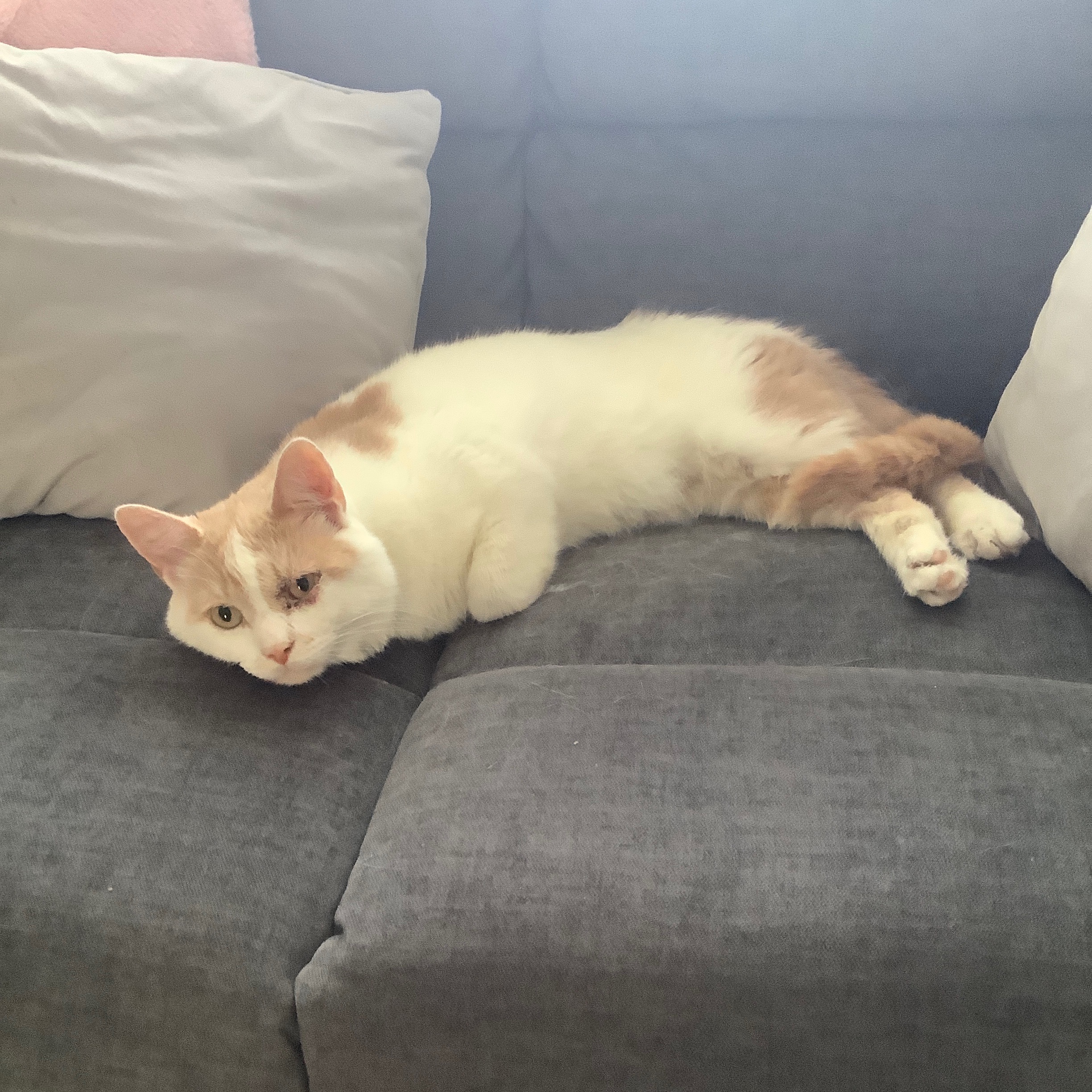 Sam