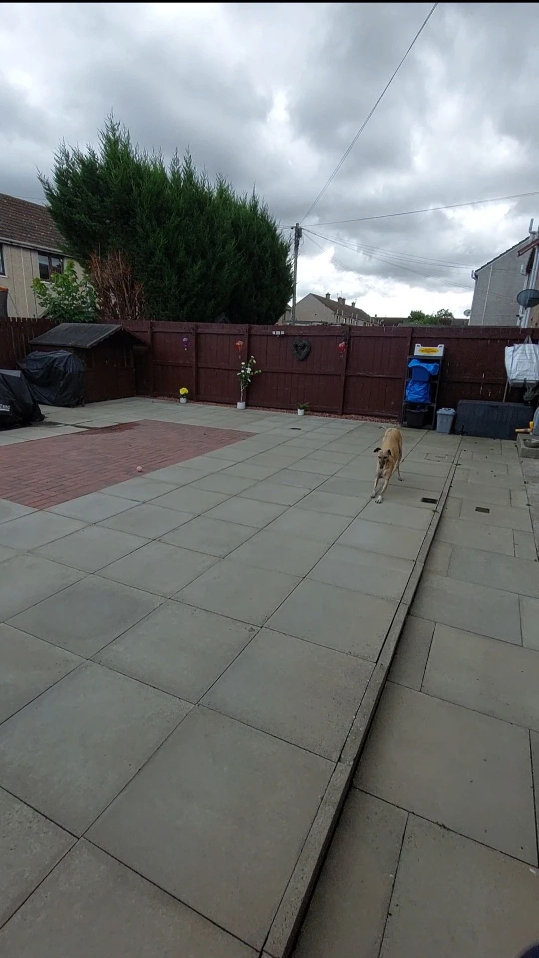 image-28