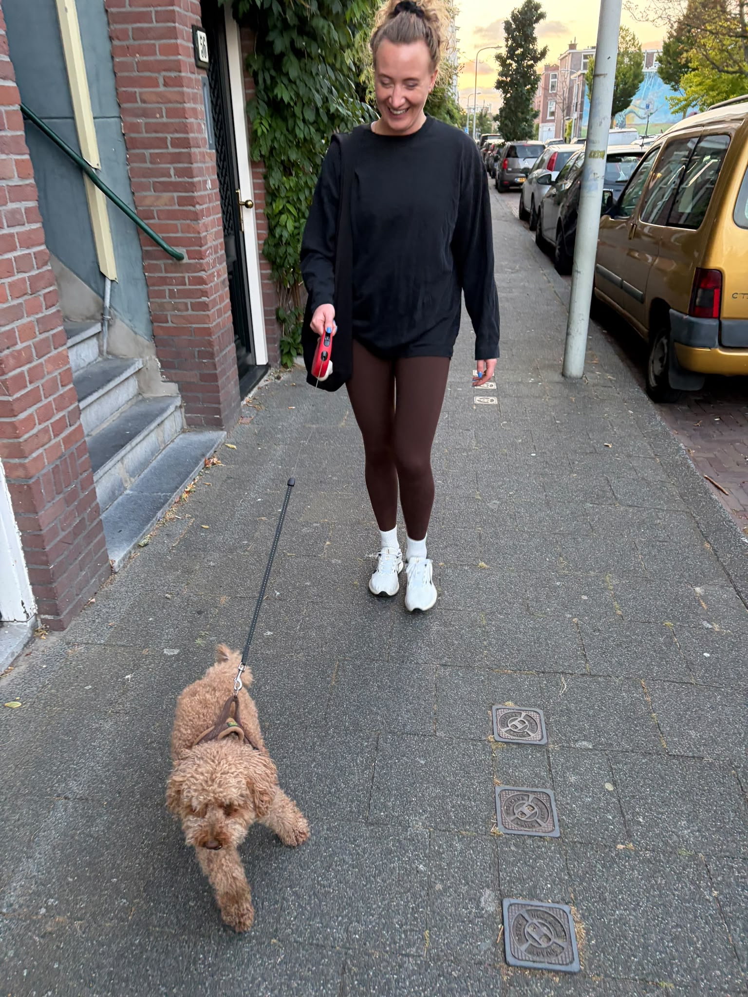image-7