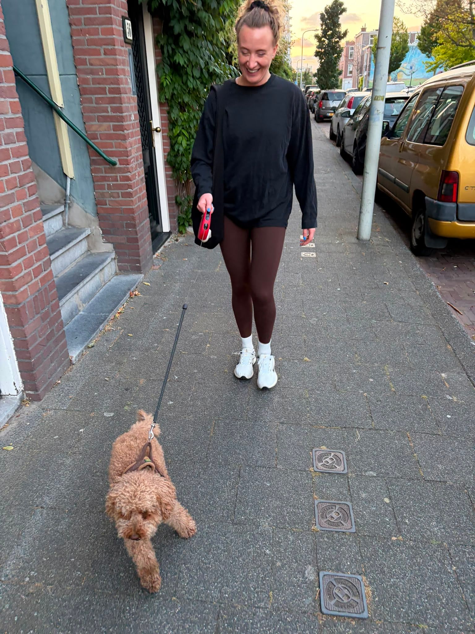 image-7