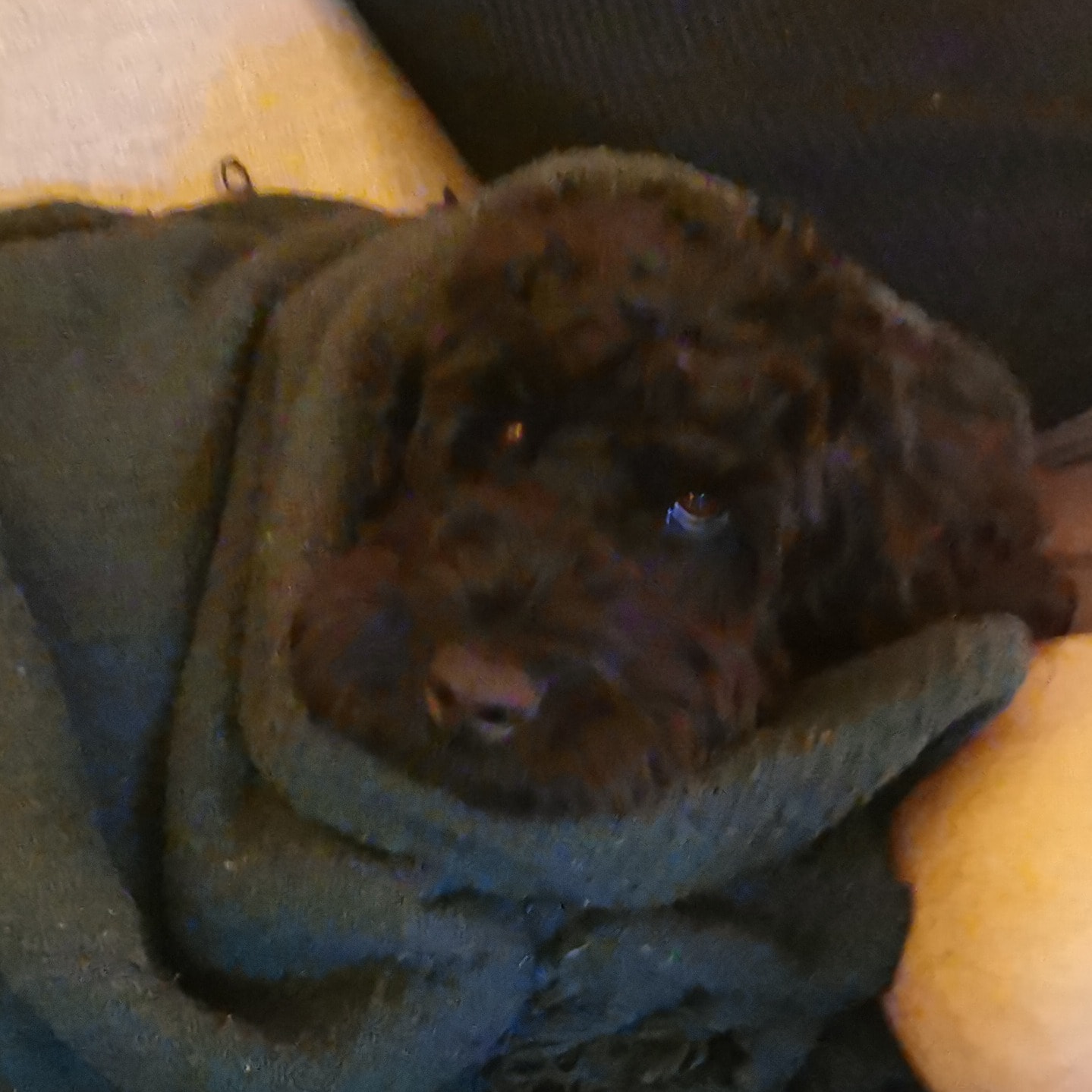 Diego 
