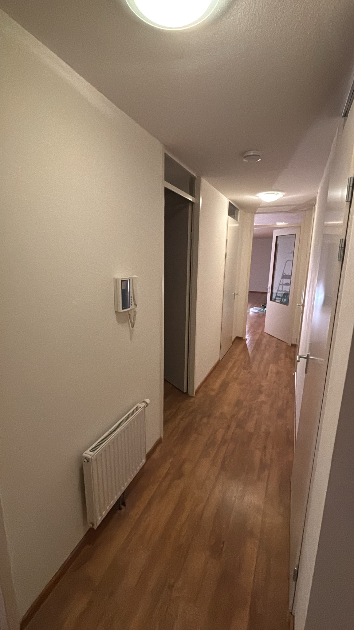 image-19