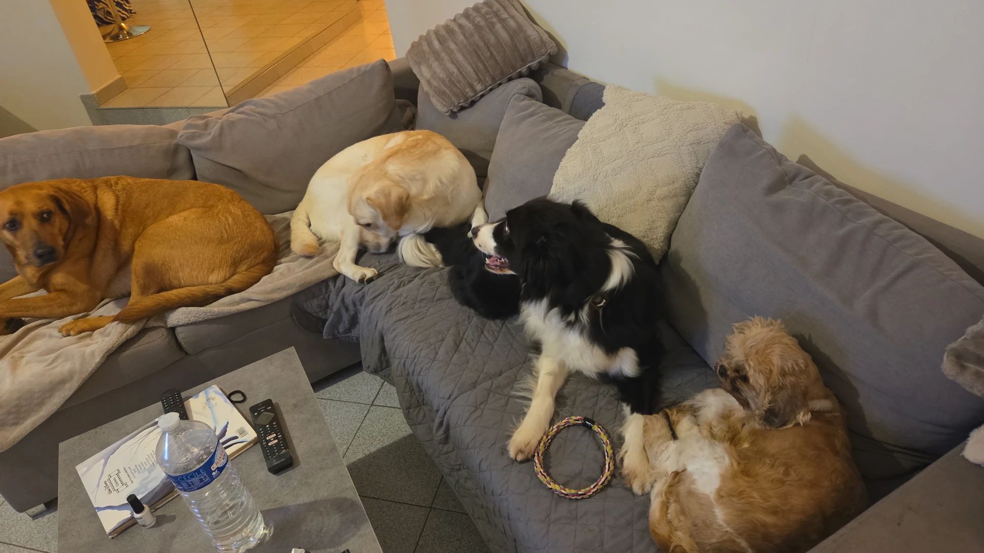 image-10
