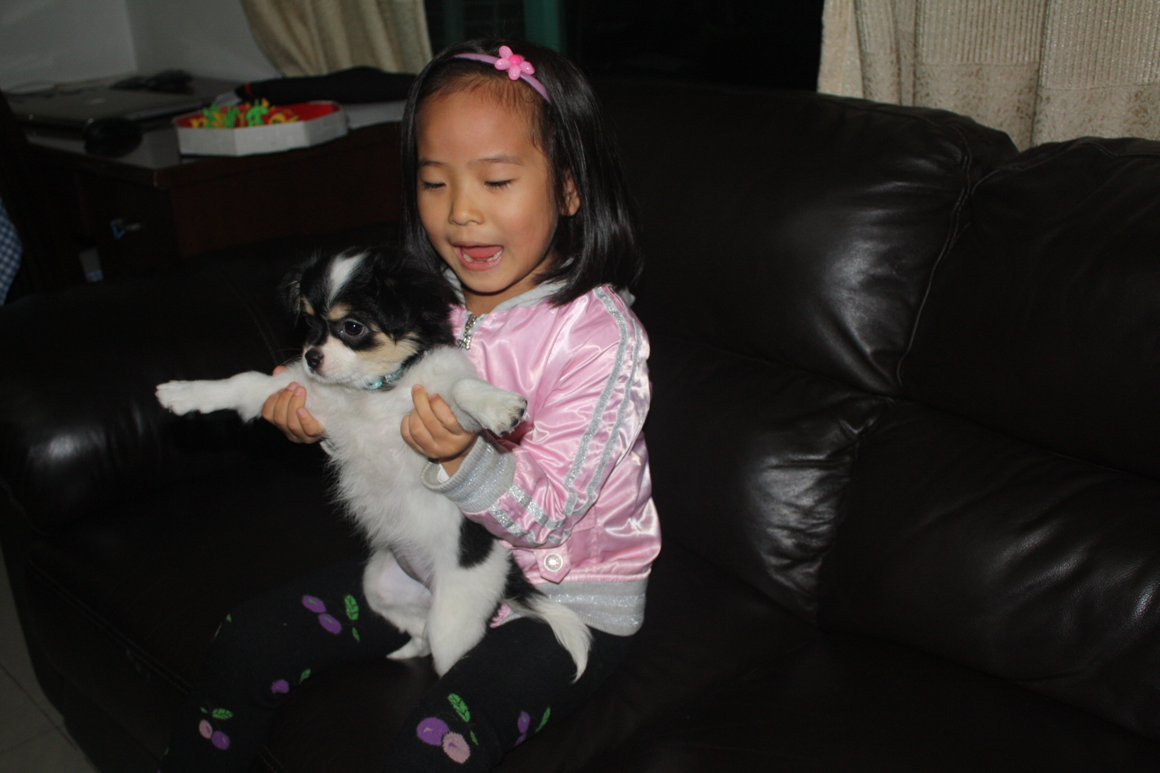image-13