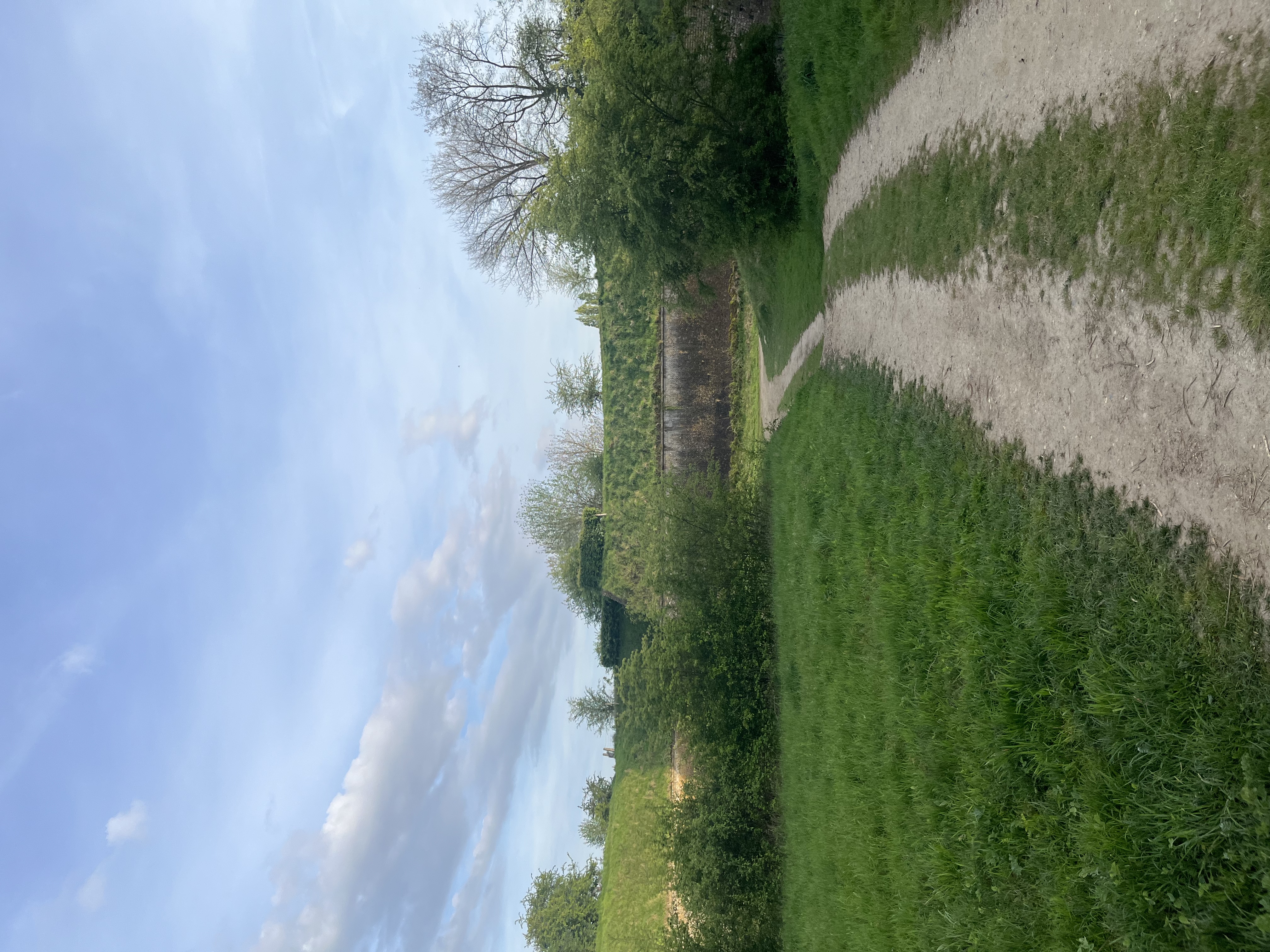 image-16