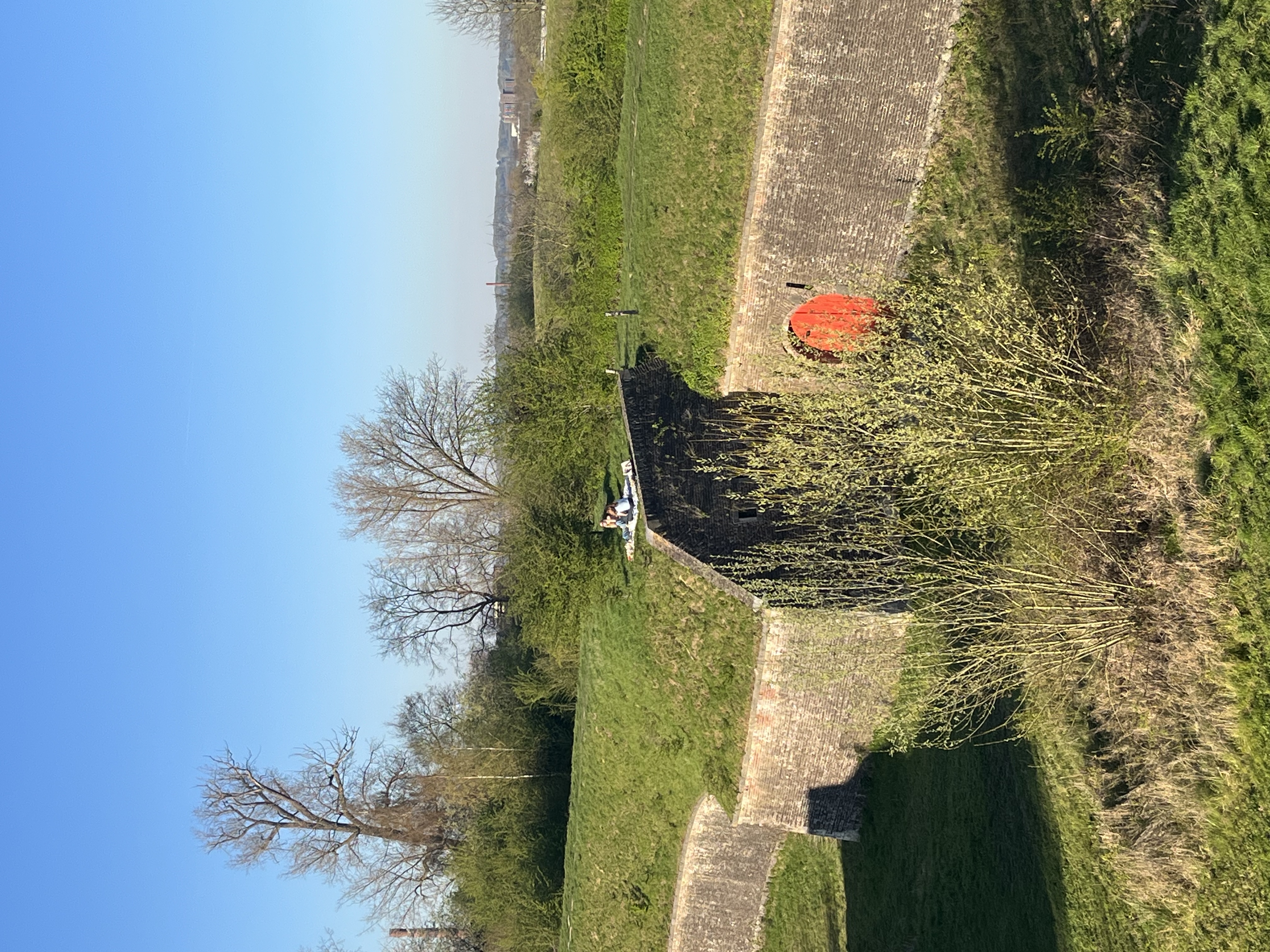 image-15