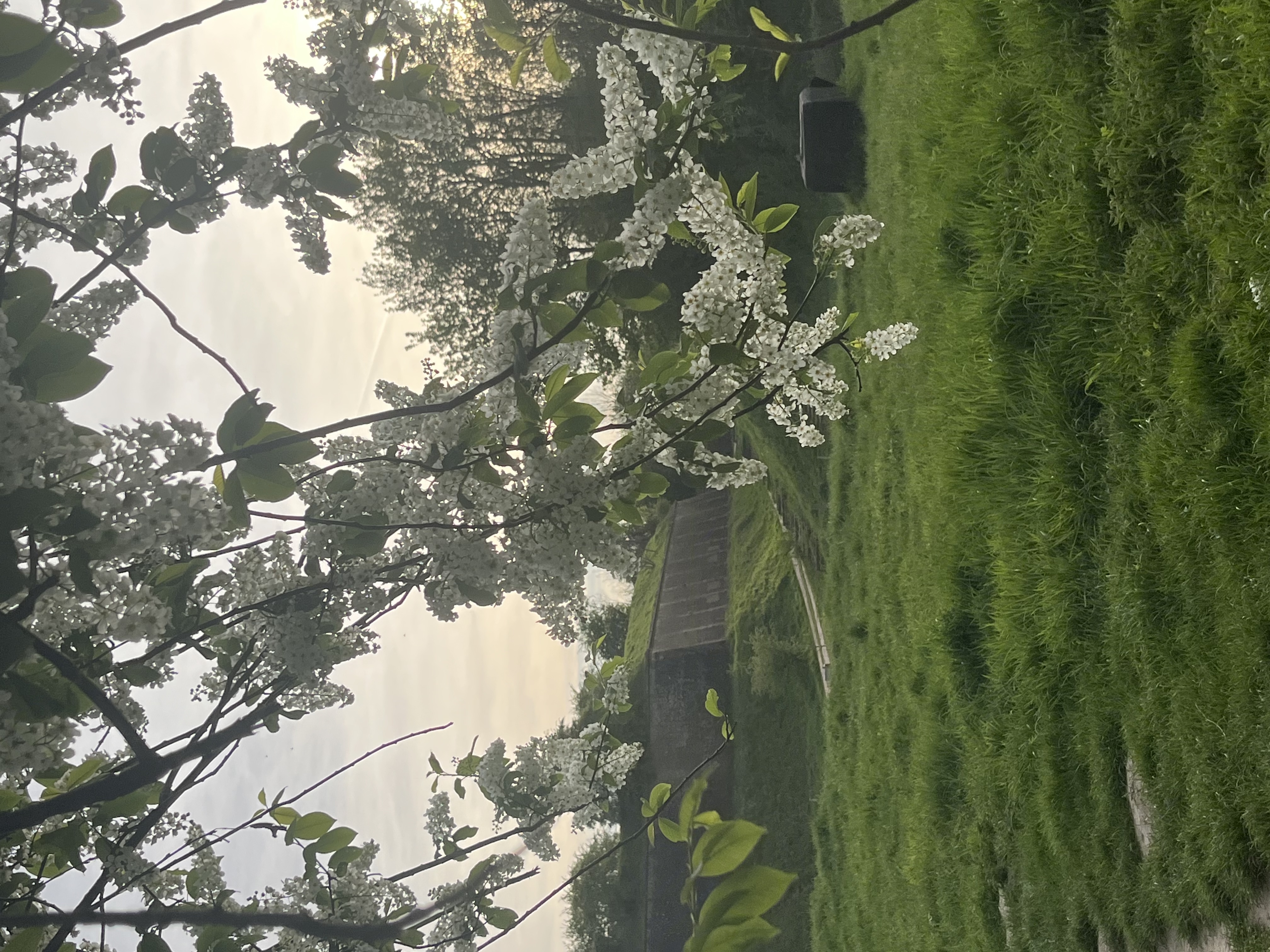 image-14