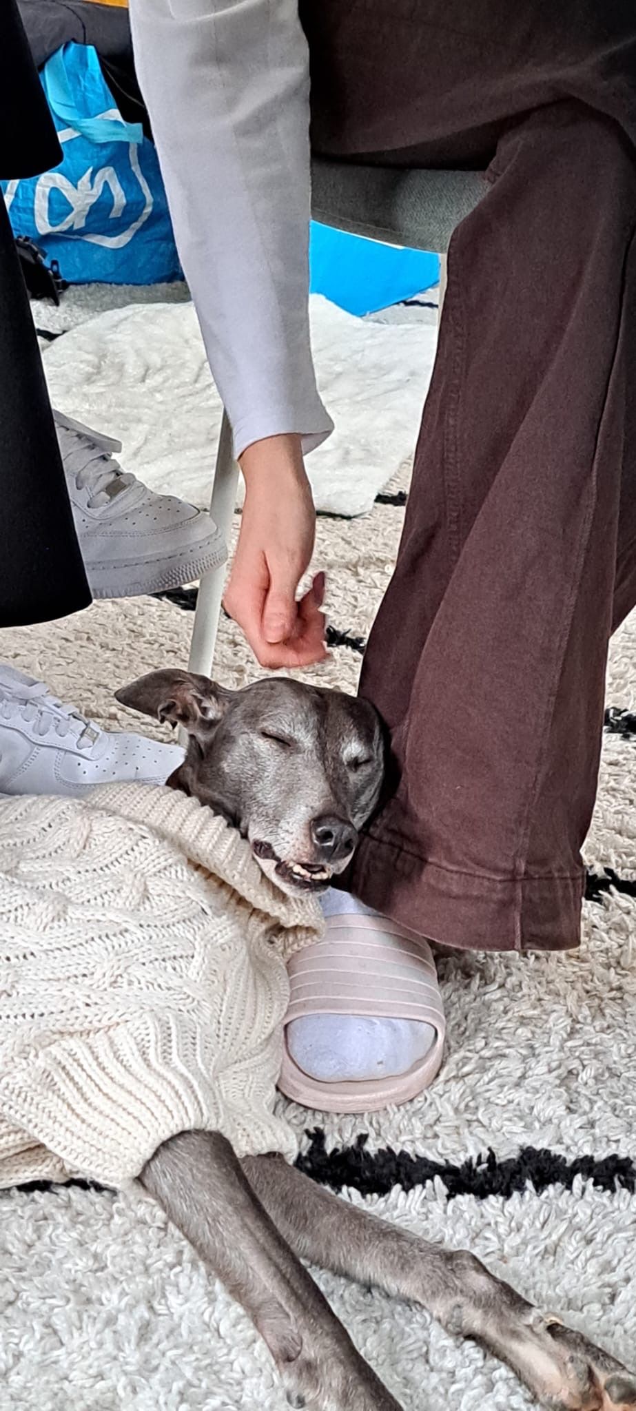 image-6