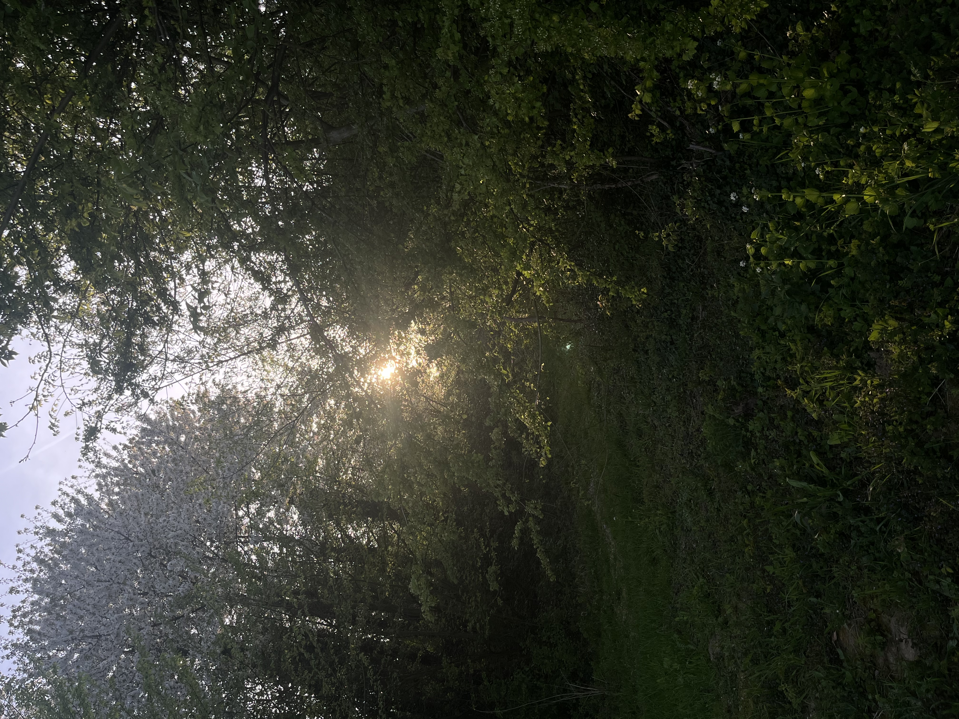 image-17