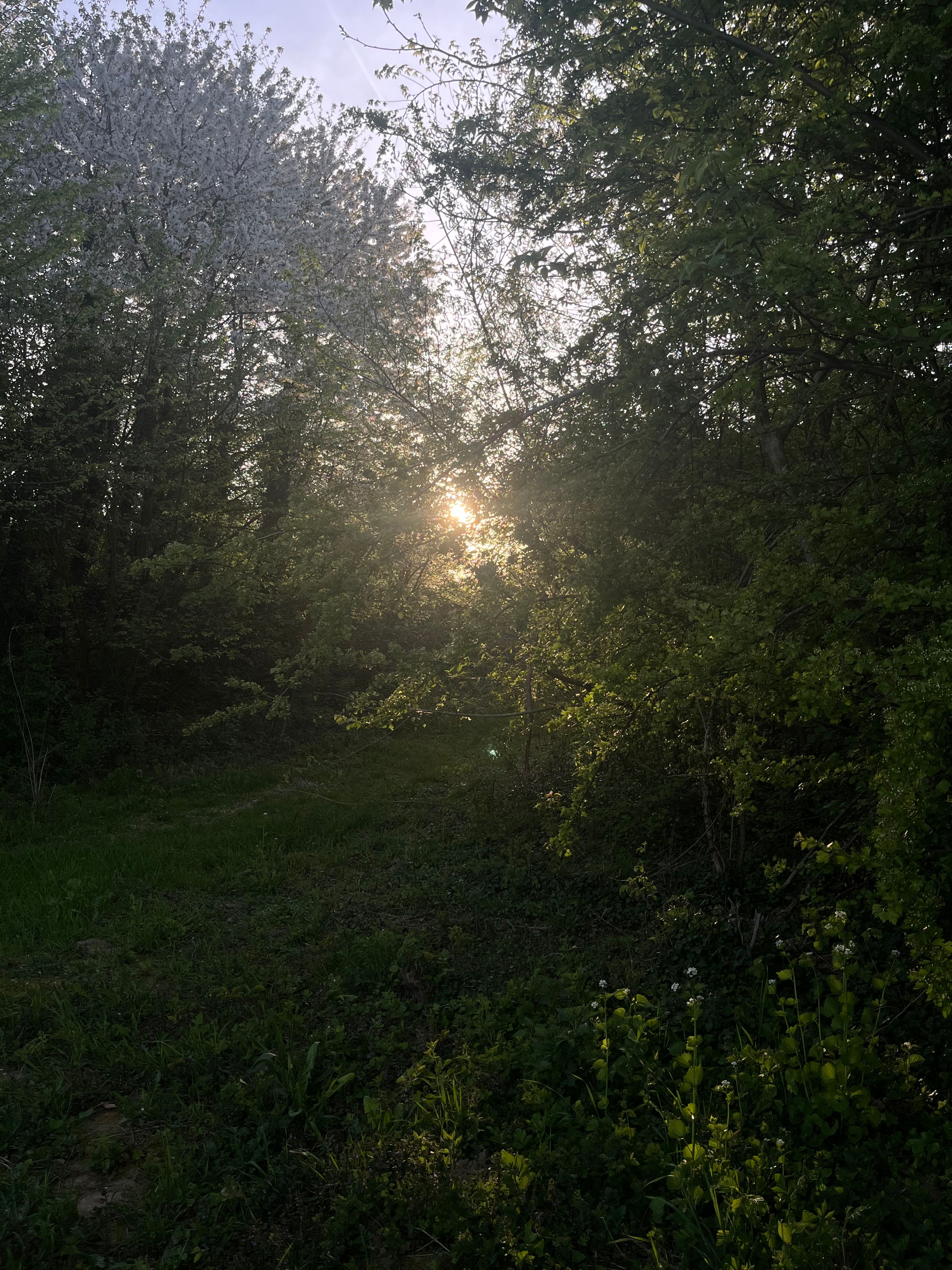 image-17