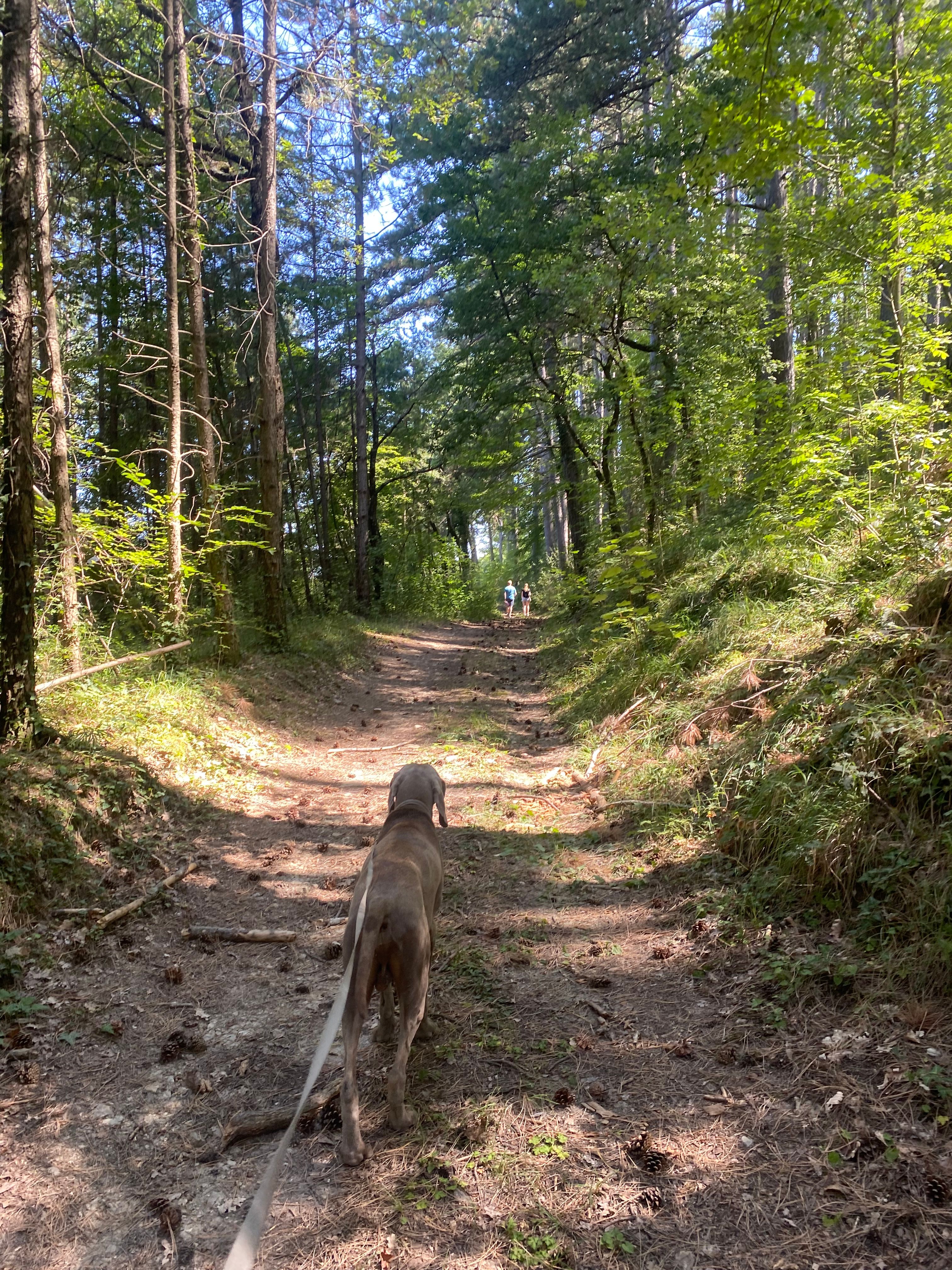 image-13