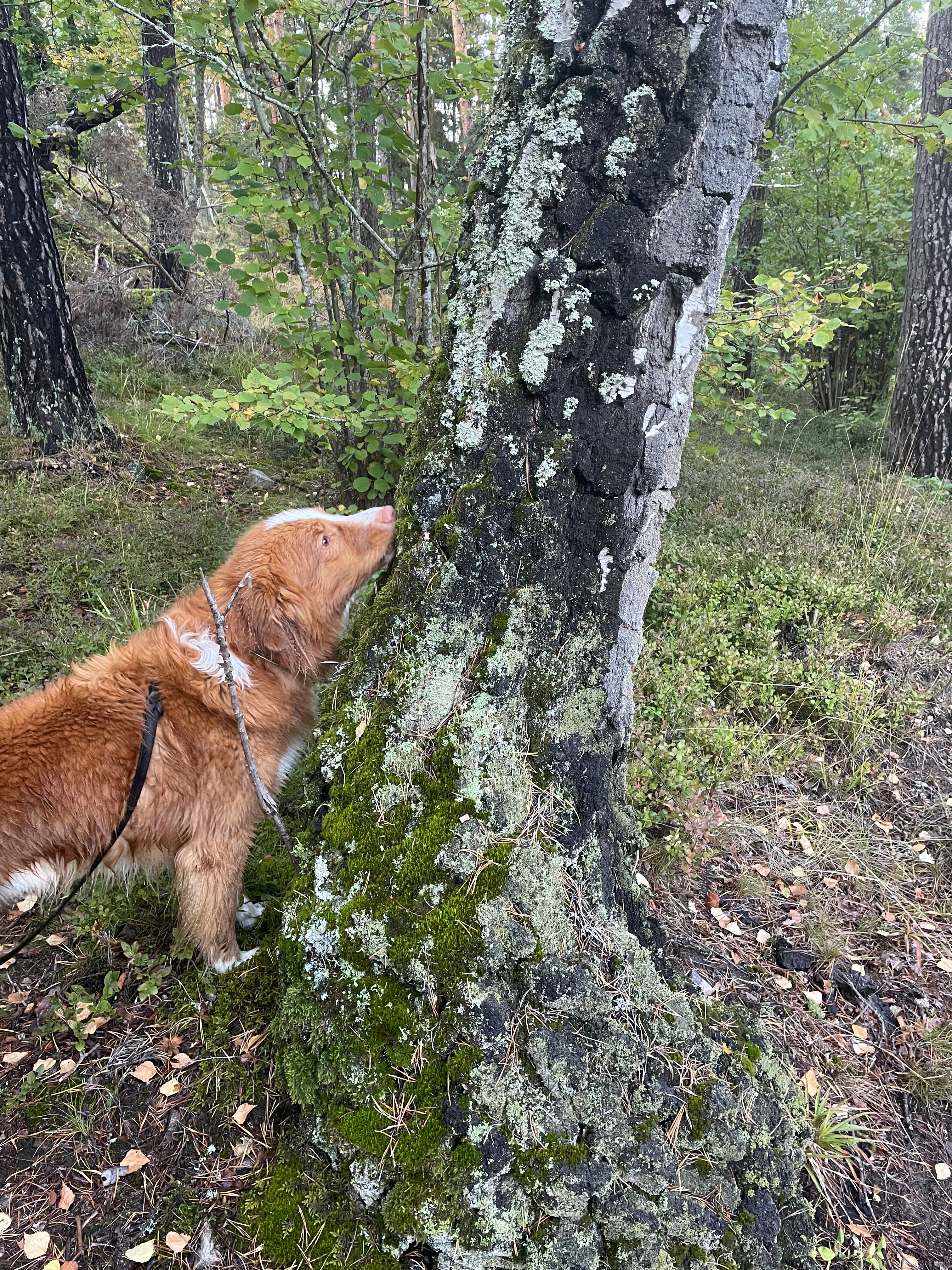 image-5
