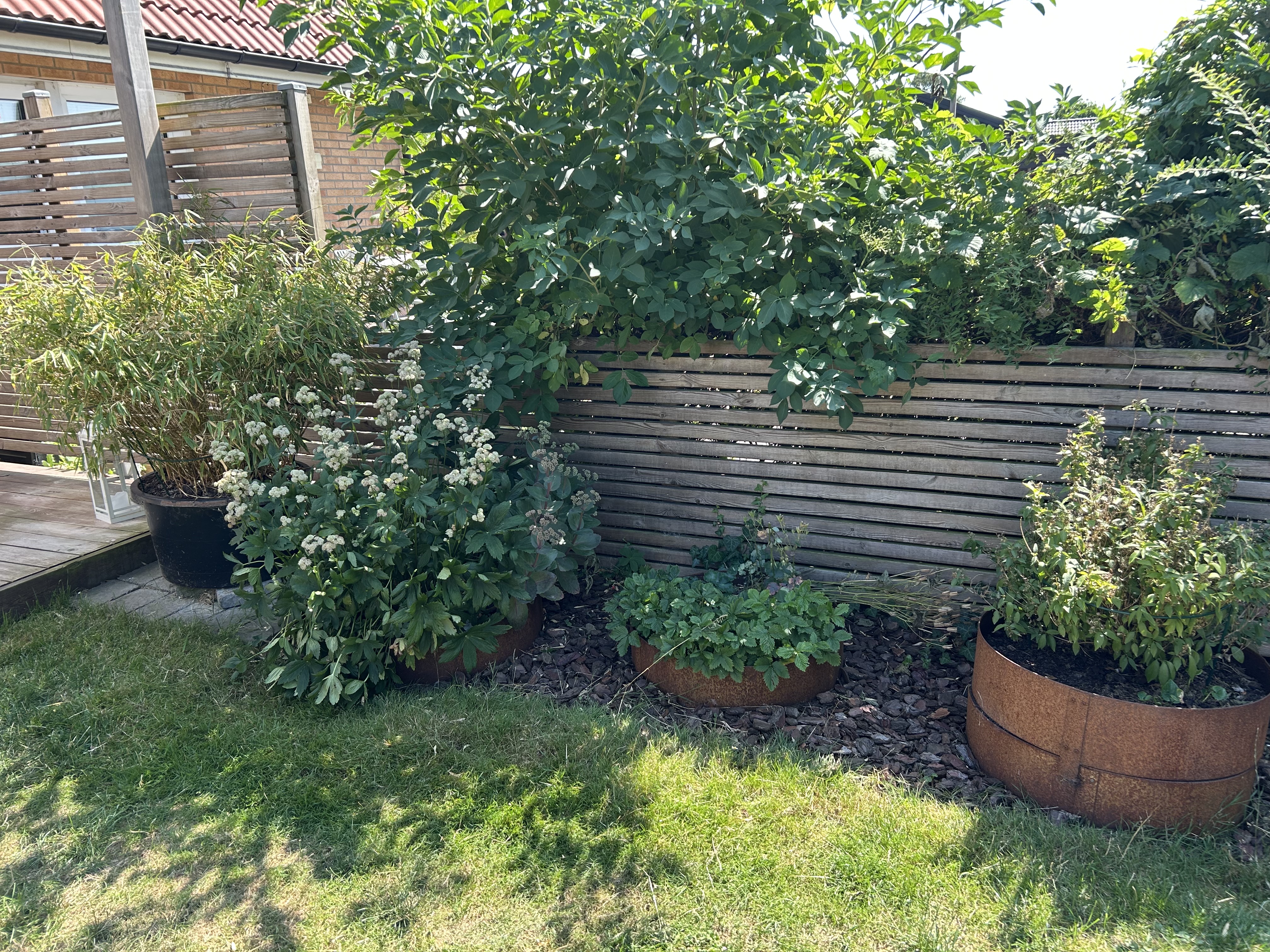 image-8