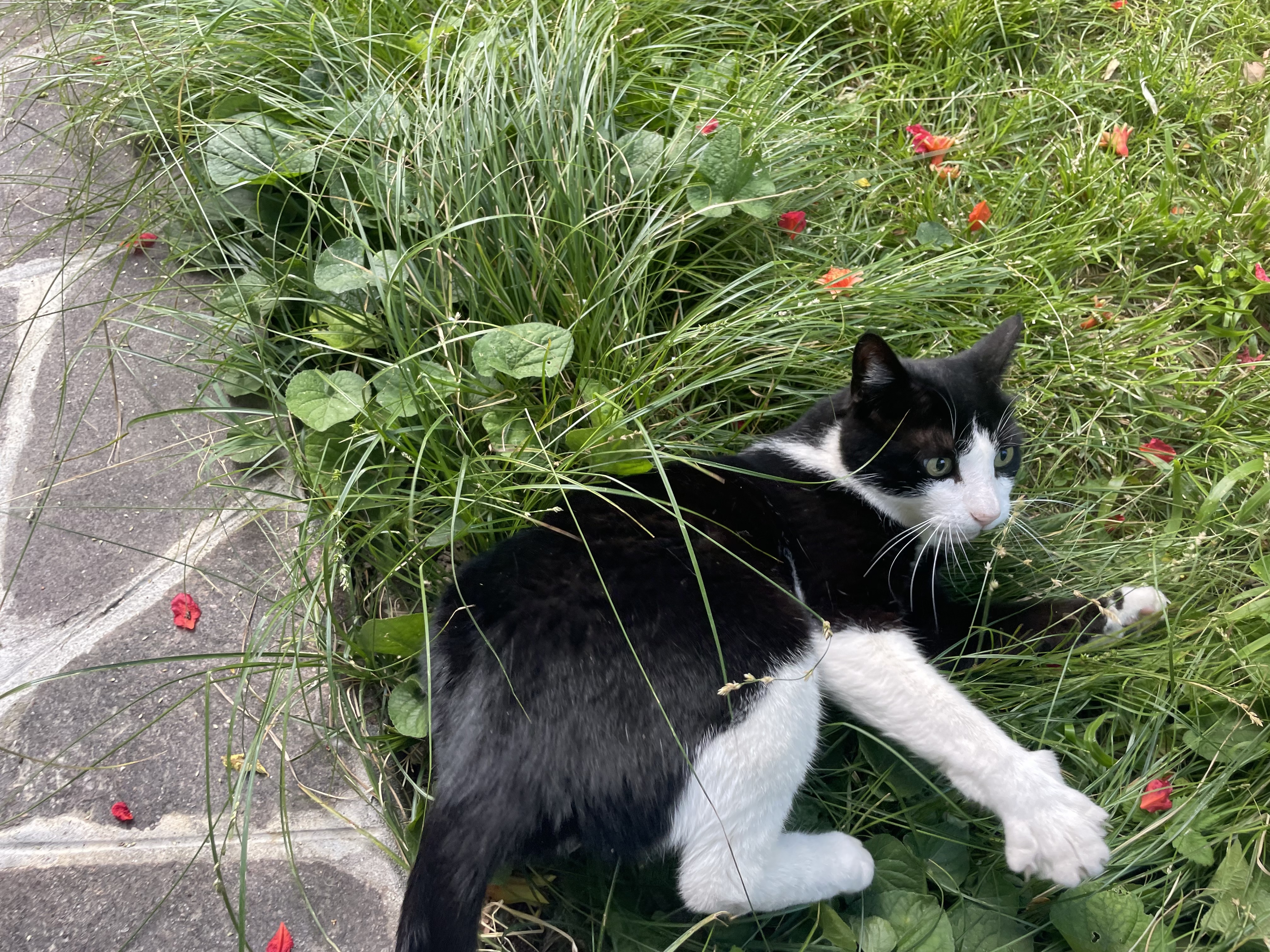 image-6