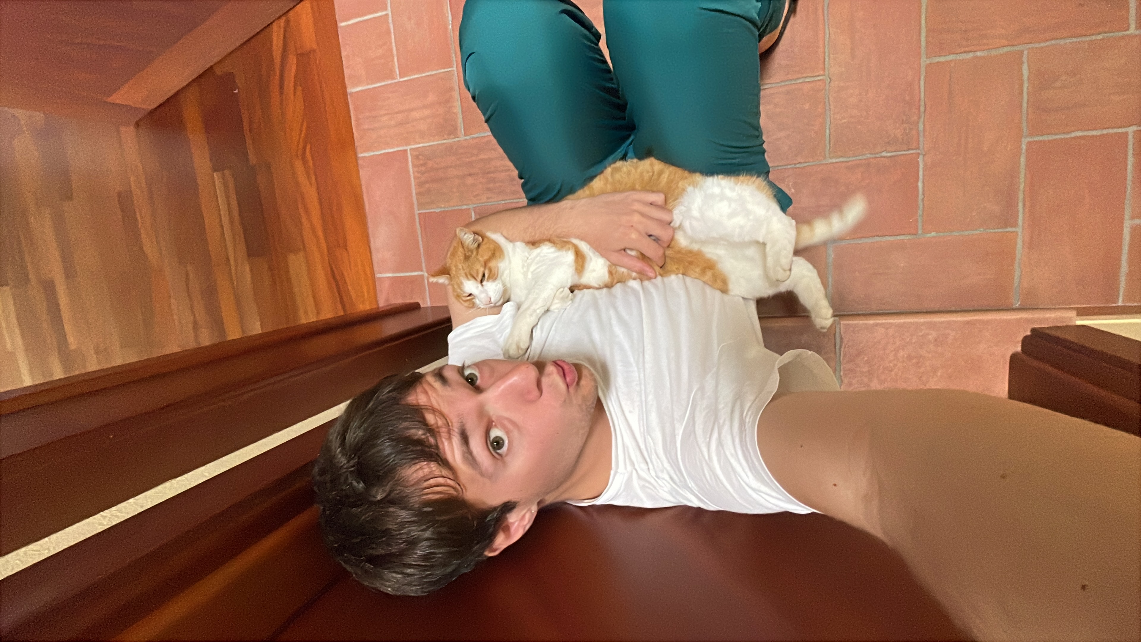 image-4