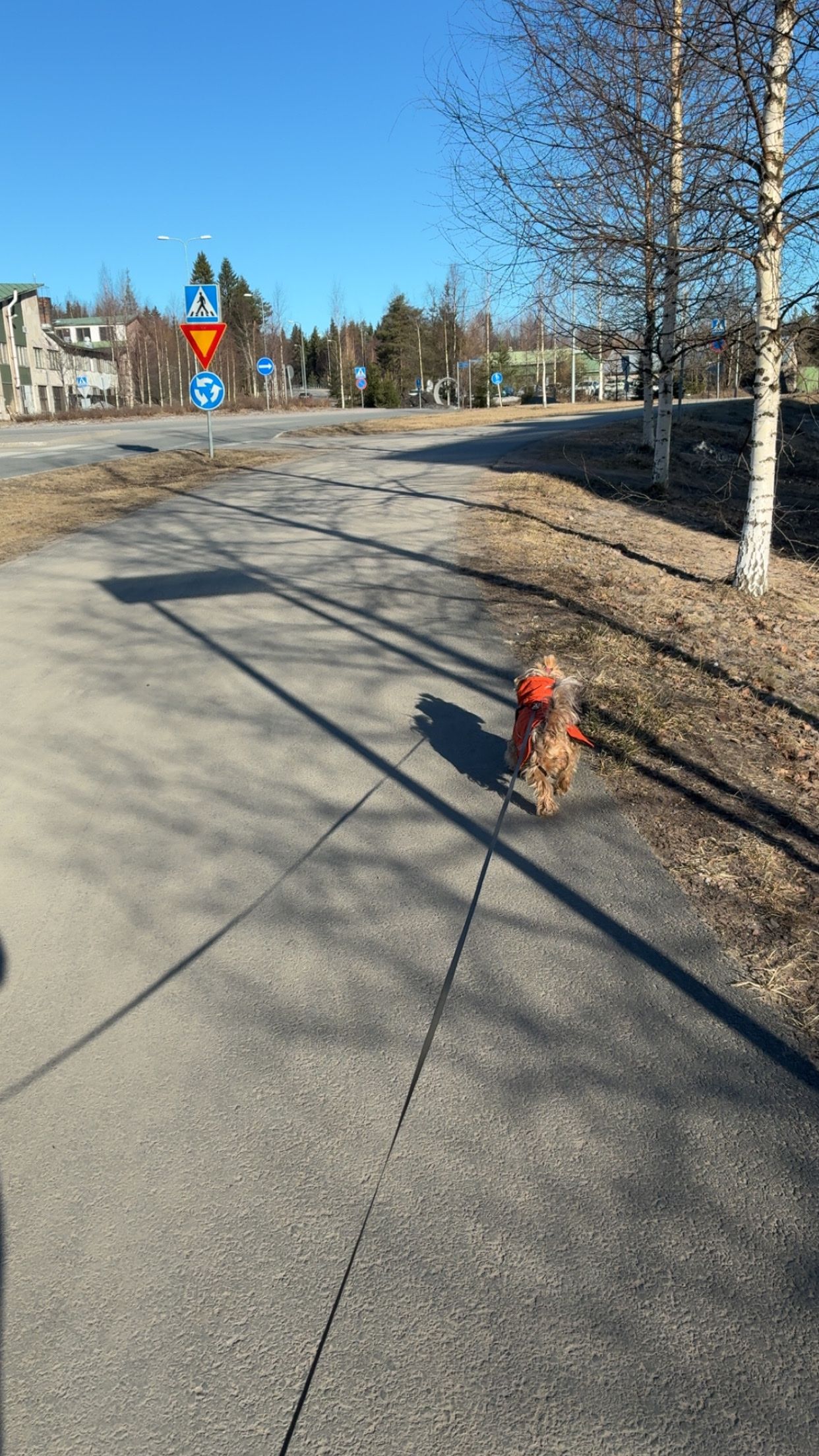 image-12