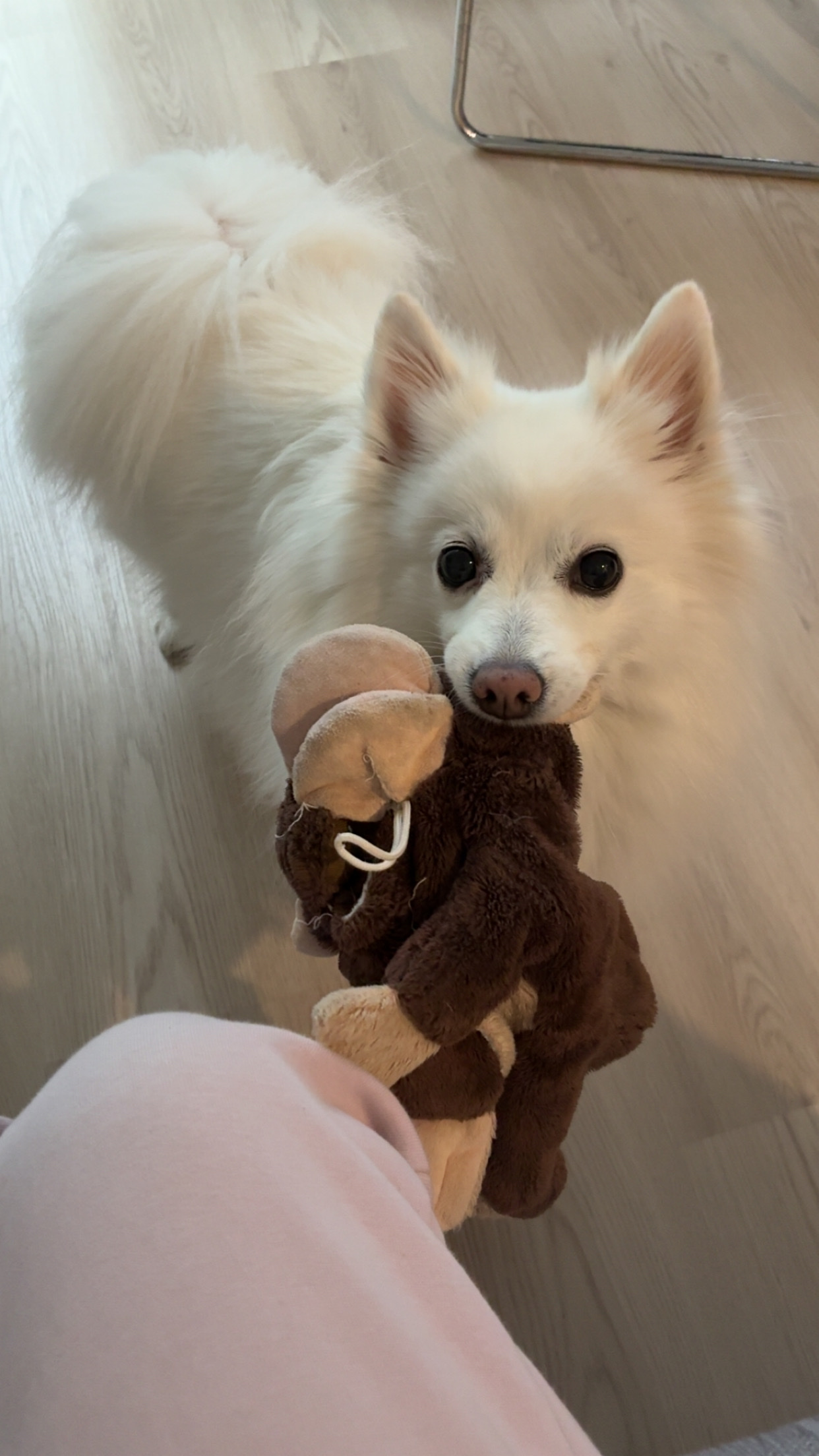 image-11