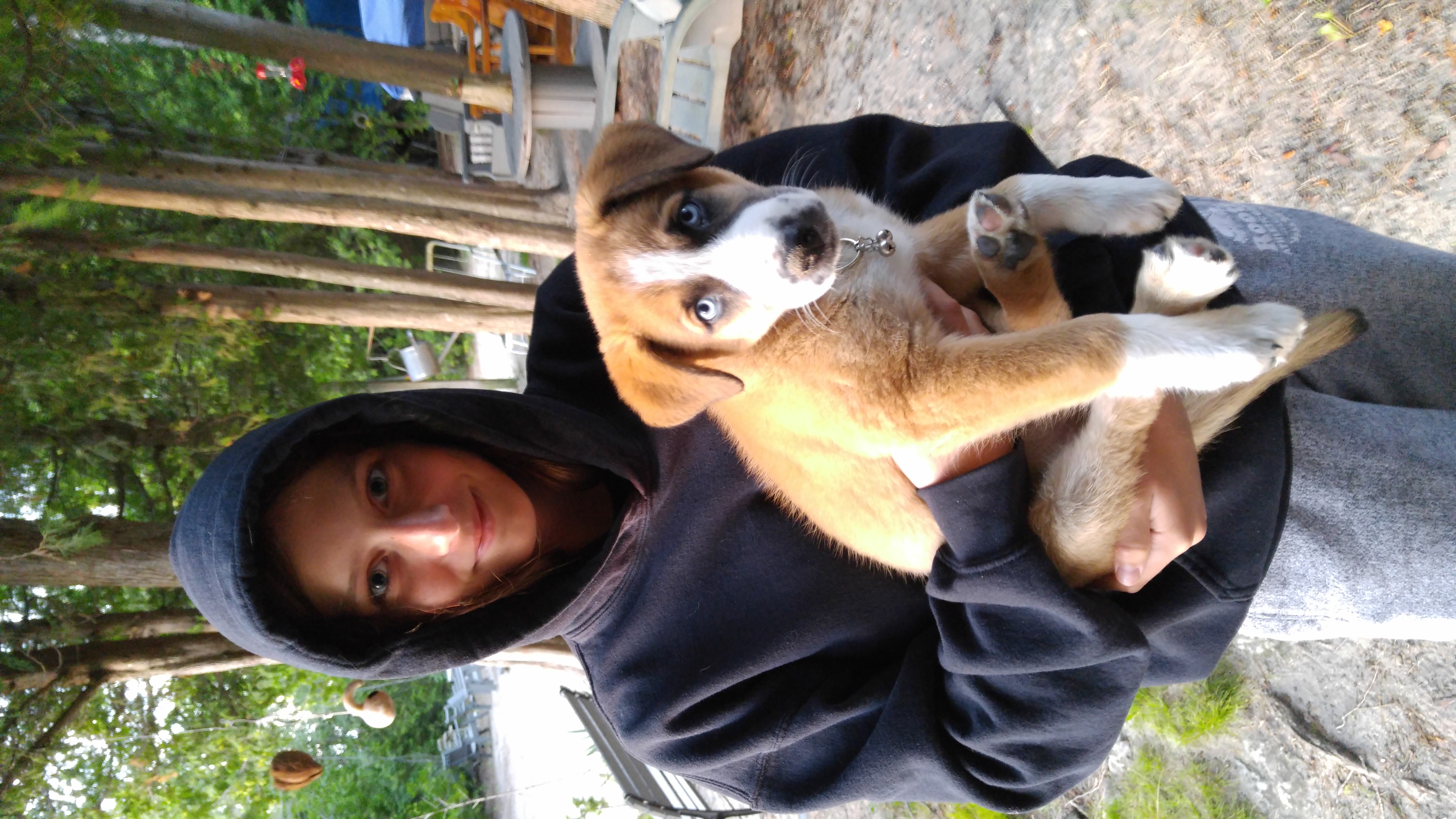 image-5
