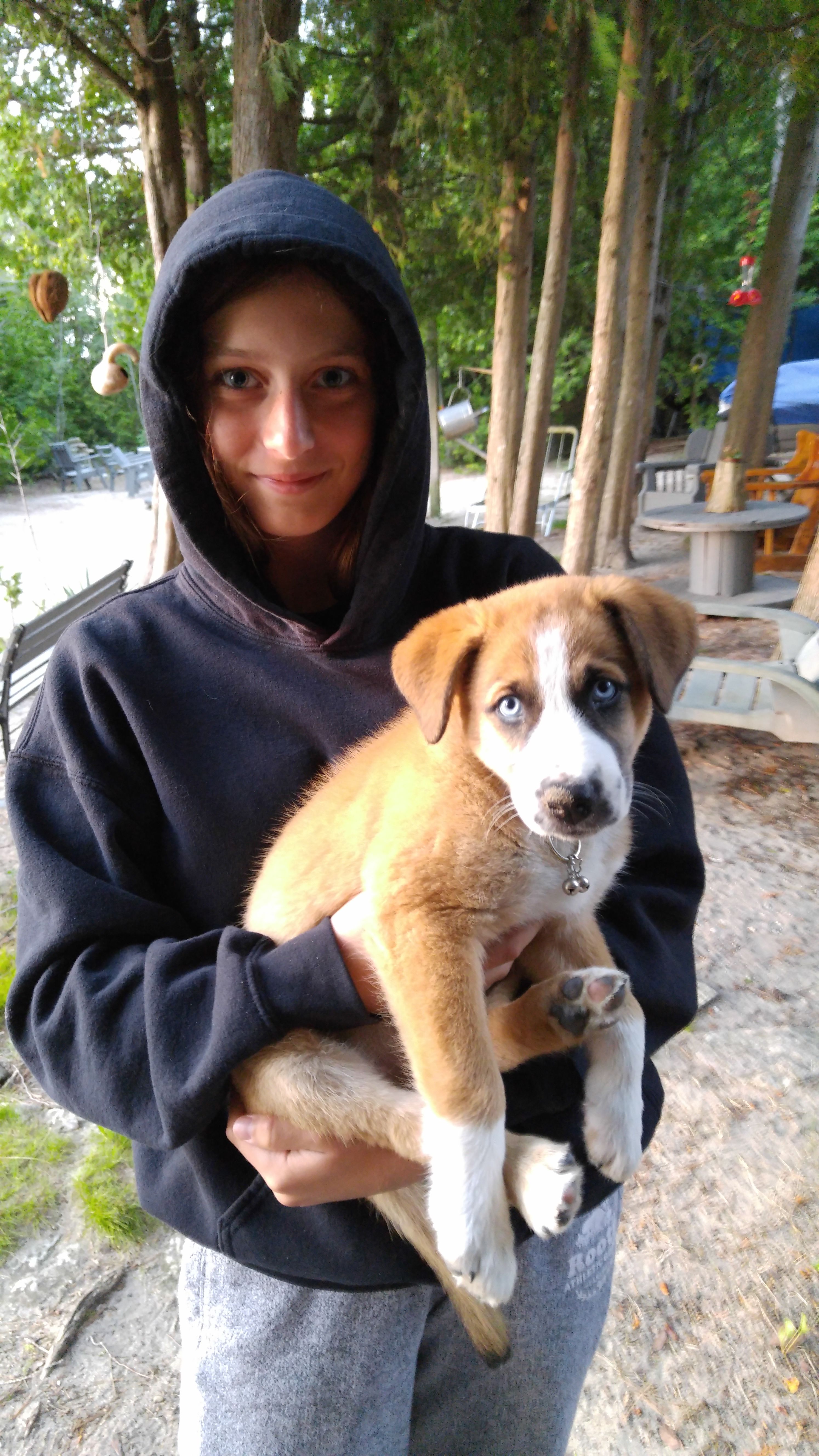image-5