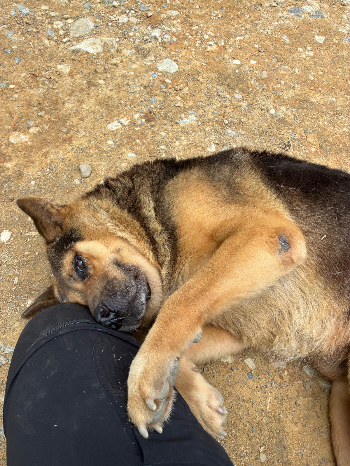 image-5