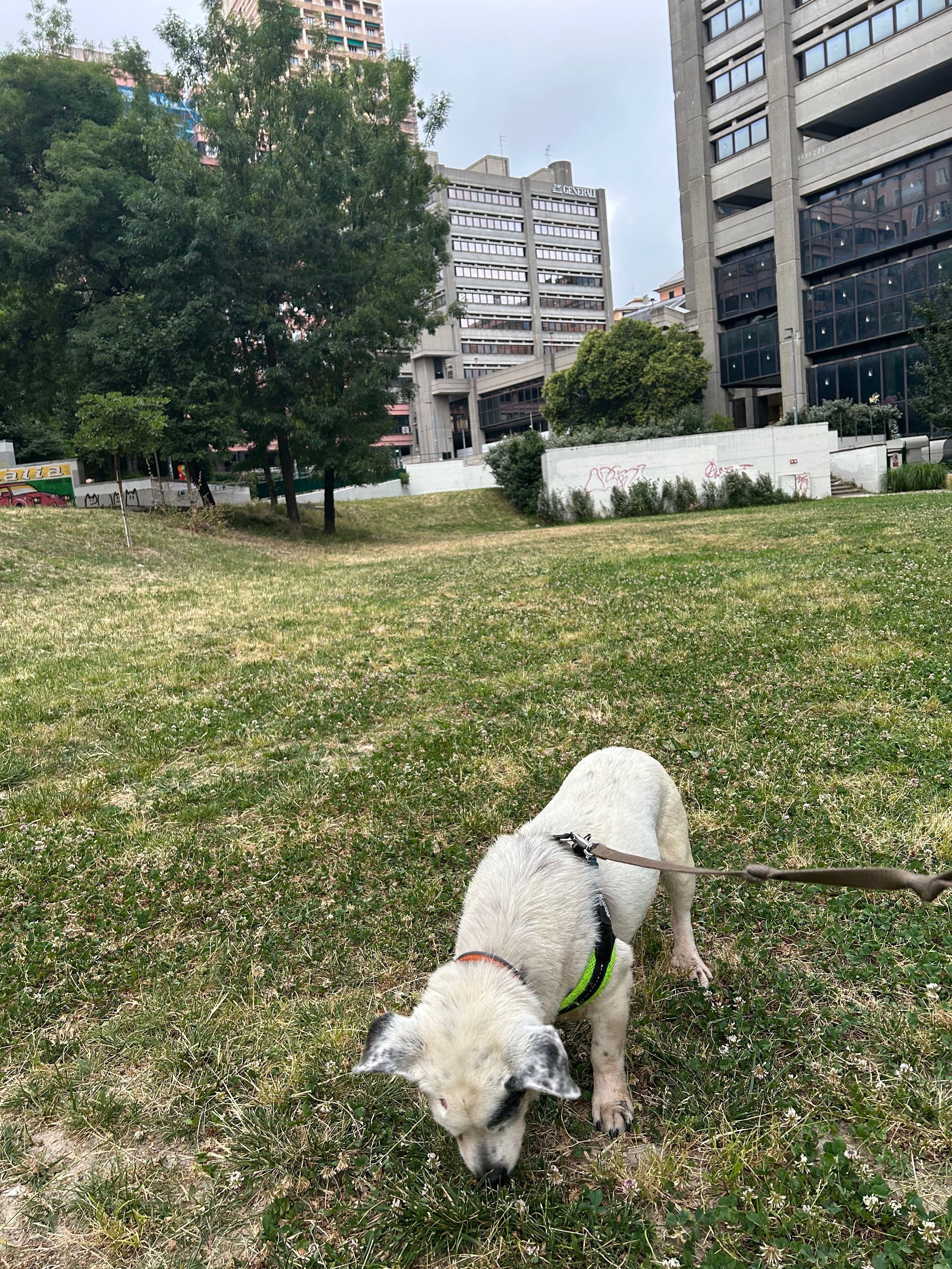 image-10