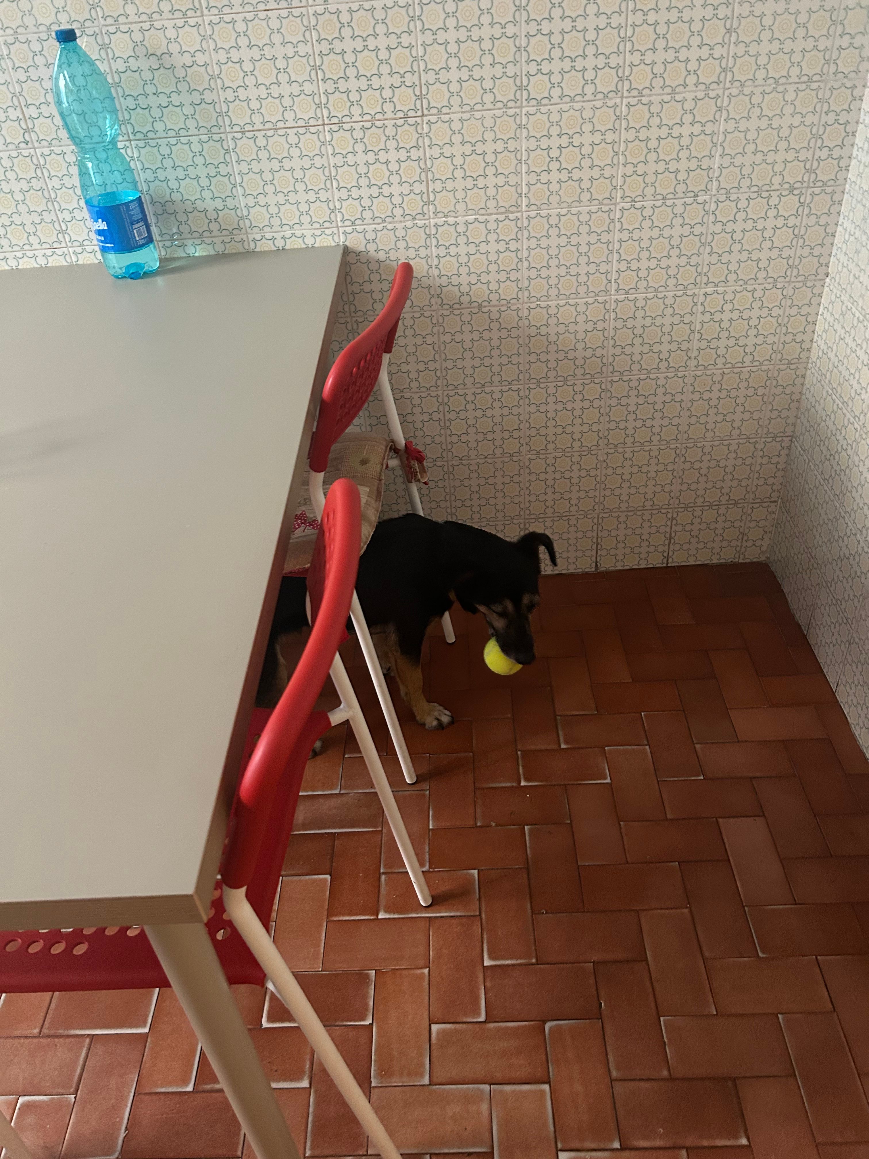 image-19